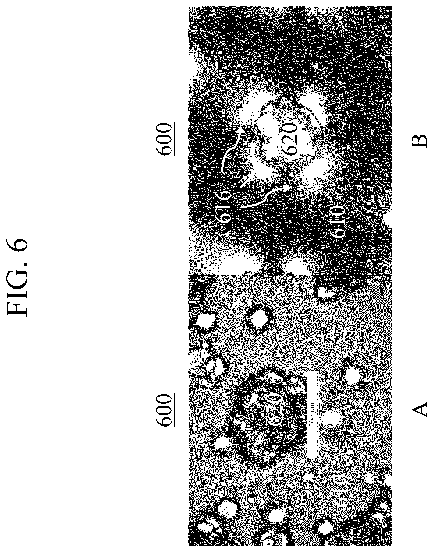 Patent US12479759 Figure 7 – Photosensitive glasses and glass ceramics and composite glass materials made therefrom