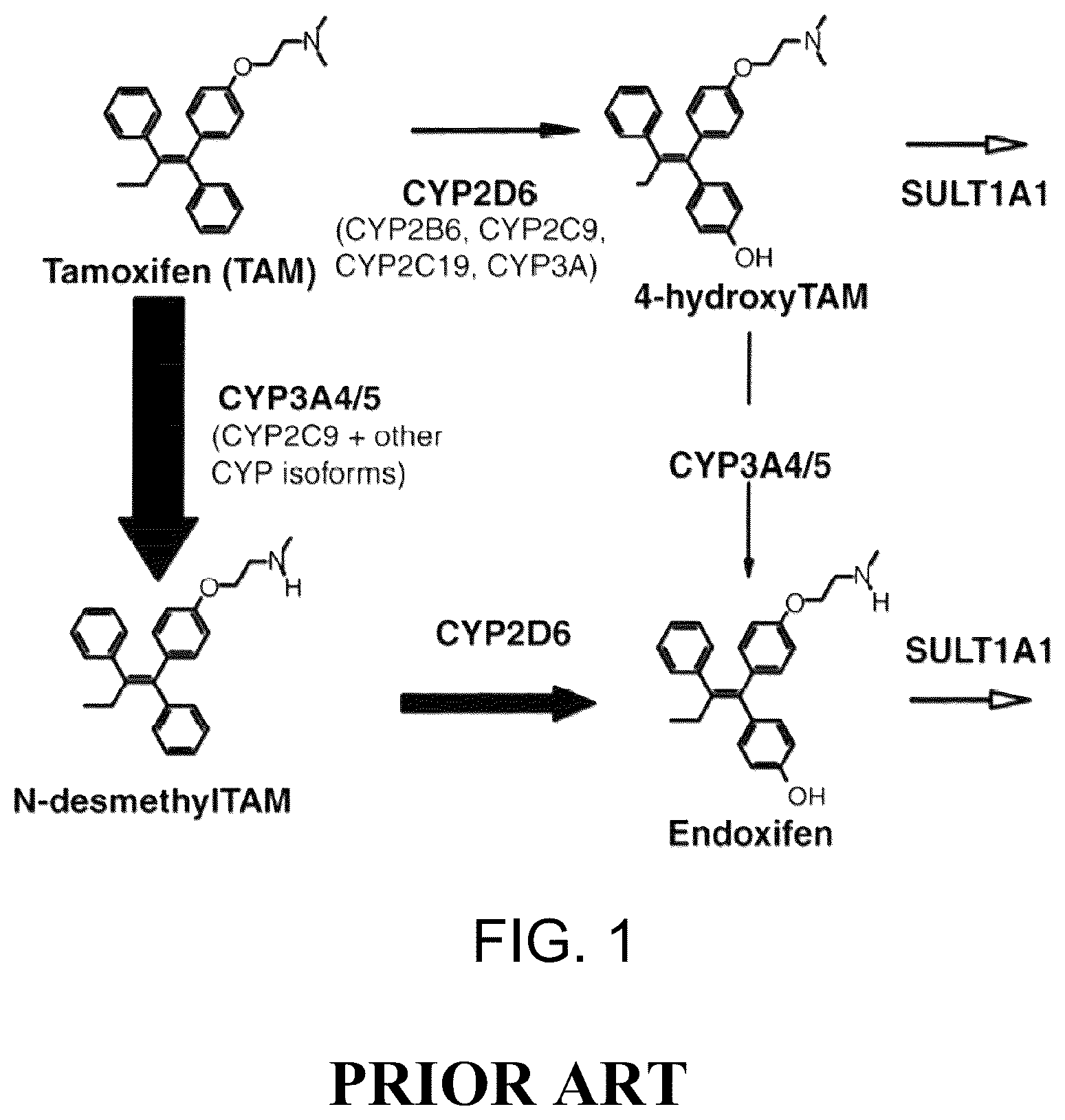Patent US12479790 Figure 1 – Methods for making and using endoxifen
