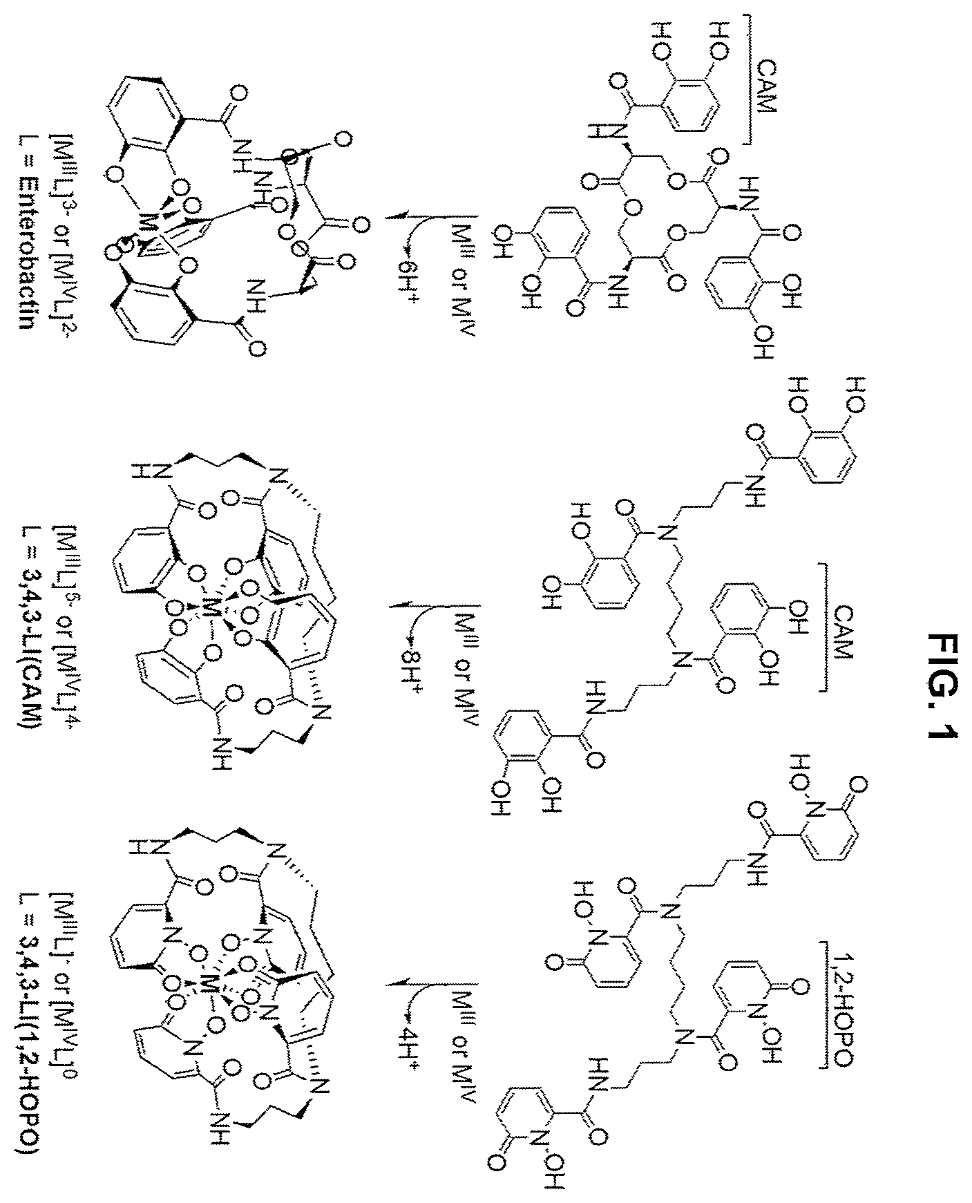 Patent US12479792 — Compositions of chelating molecules — Figure 1