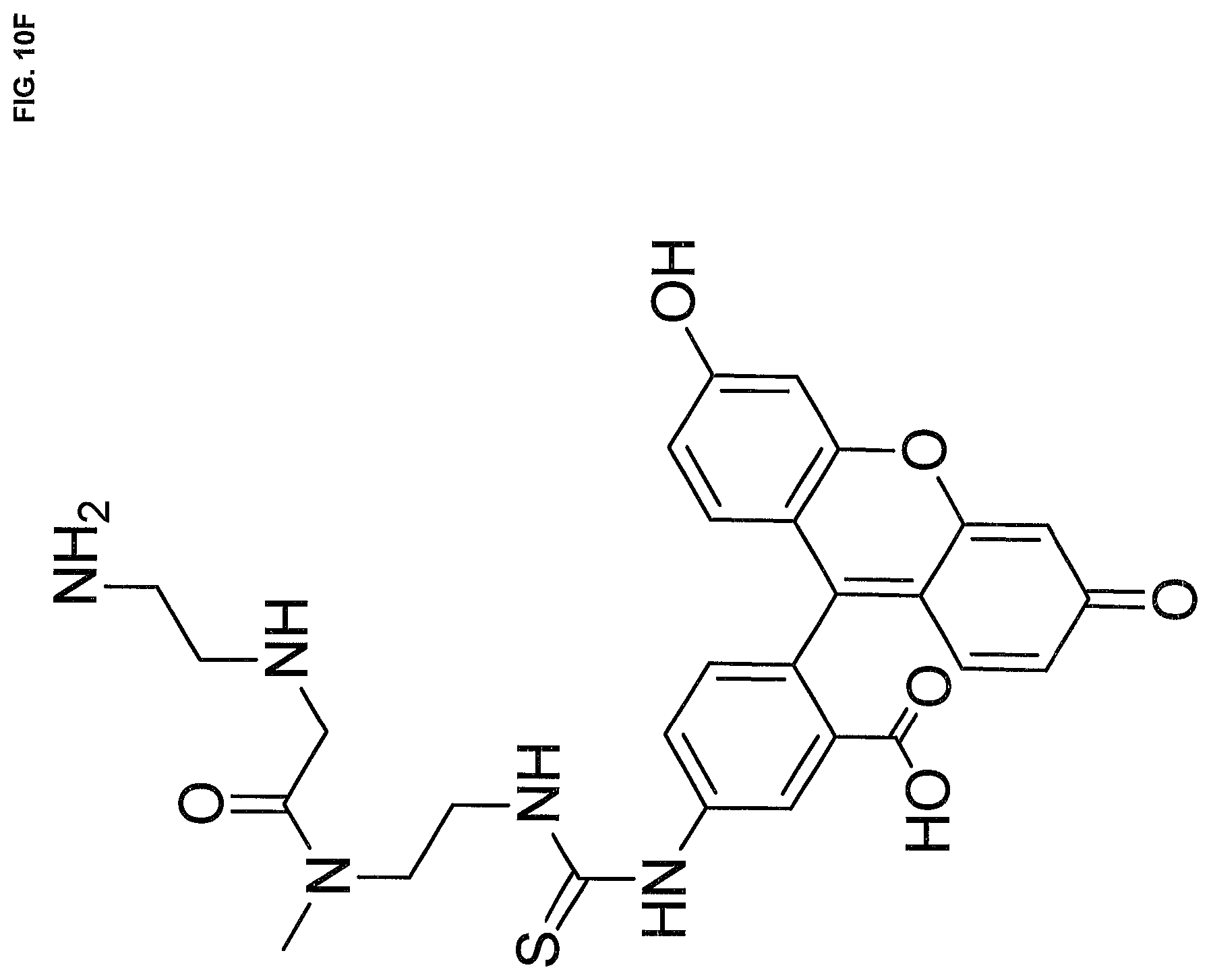 Patent US12479792 Figure 20 – Compositions of chelating molecules