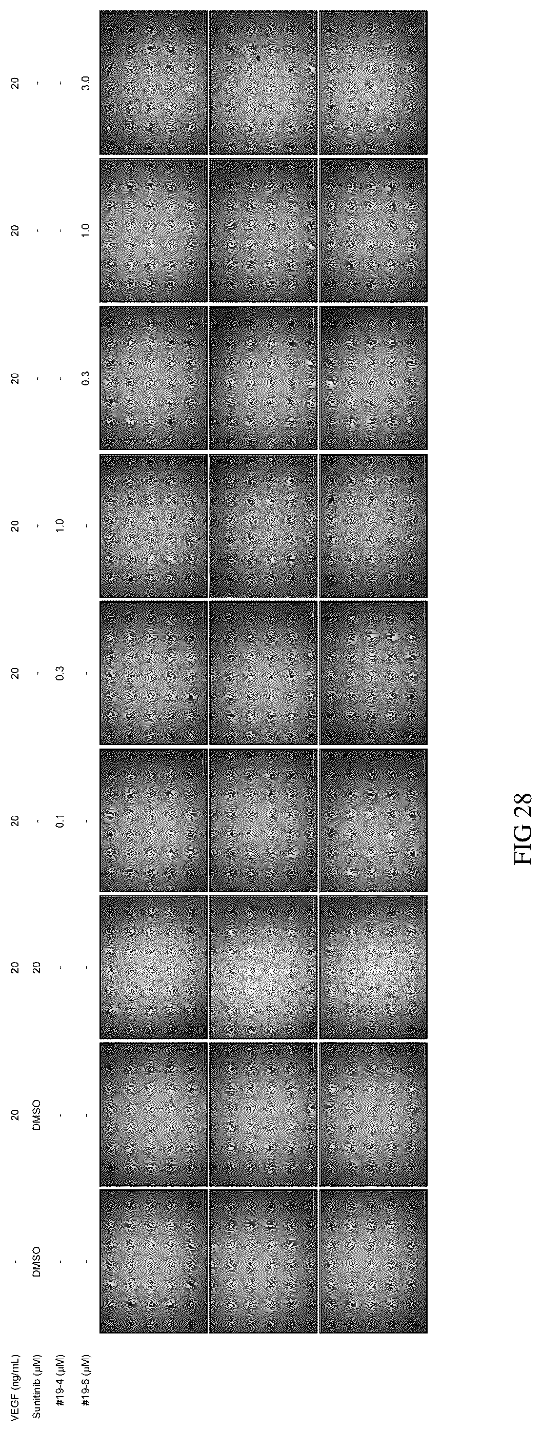 Patent US12479805 Figure 17 – Indazole hydrazide compound and application thereof