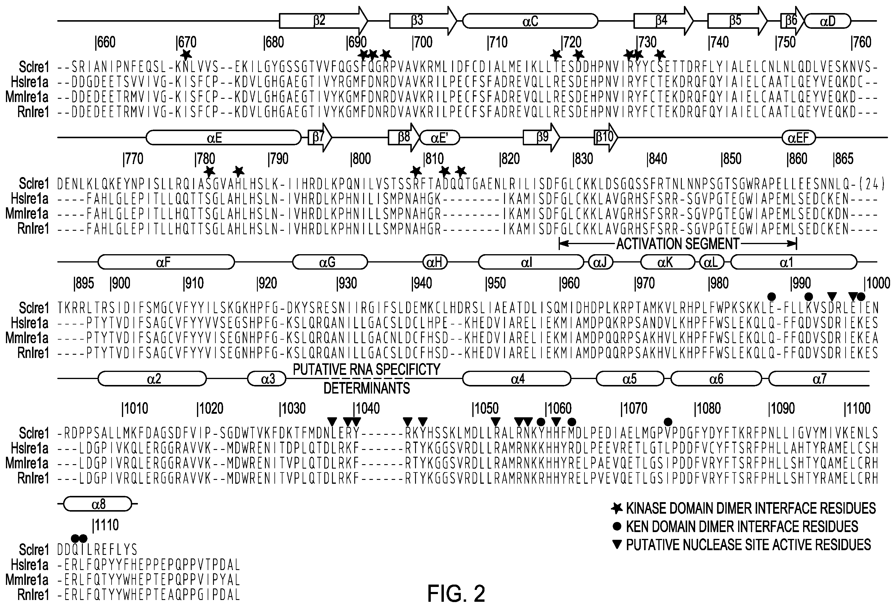 Patent US12479818 Figure 2 – Treatment of fibrosis with IRE1 small molecule inhibitors