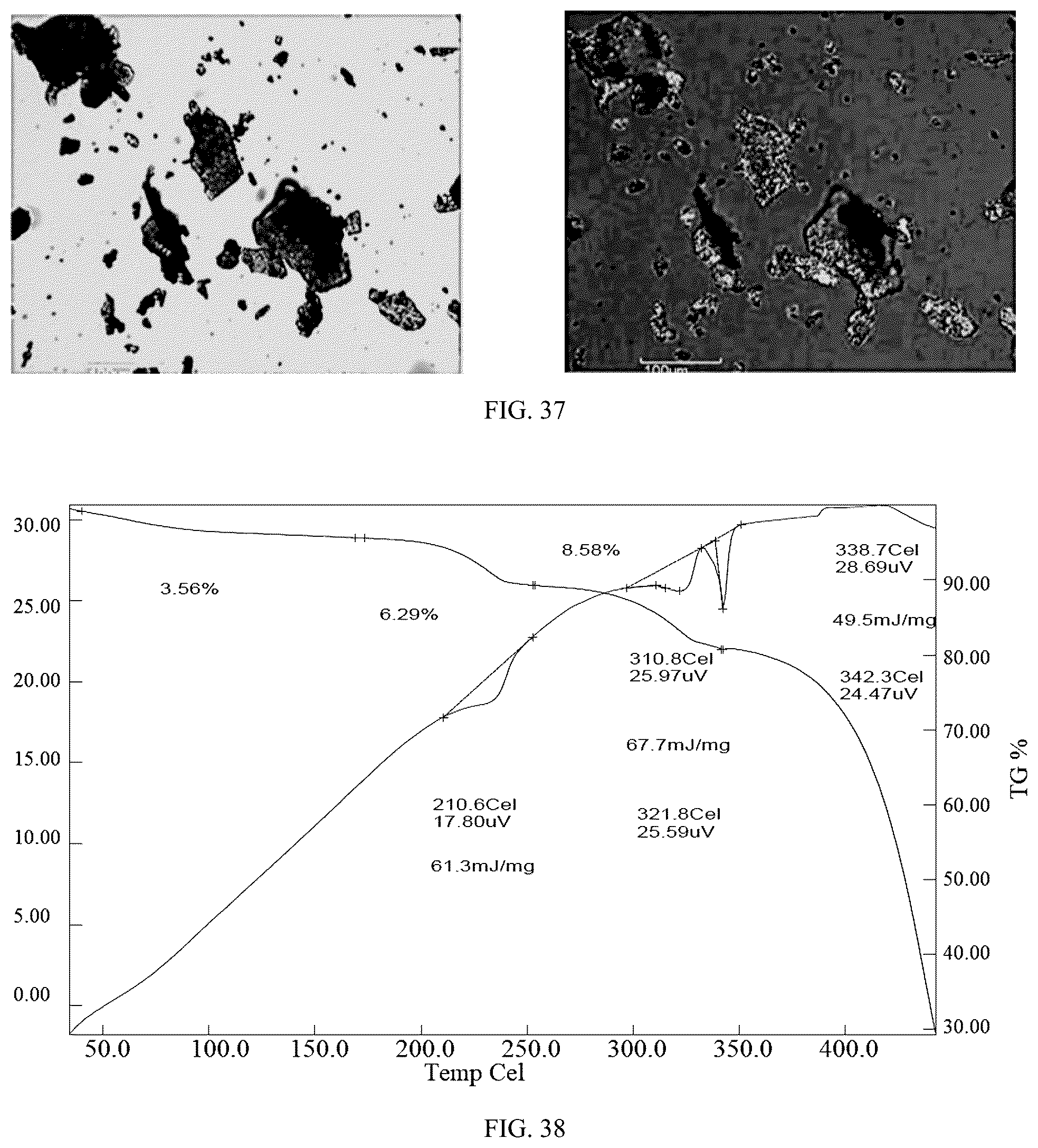Patent US12479855 Figure 19 – Morphic forms of trilaciclib and methods of manufacture thereof