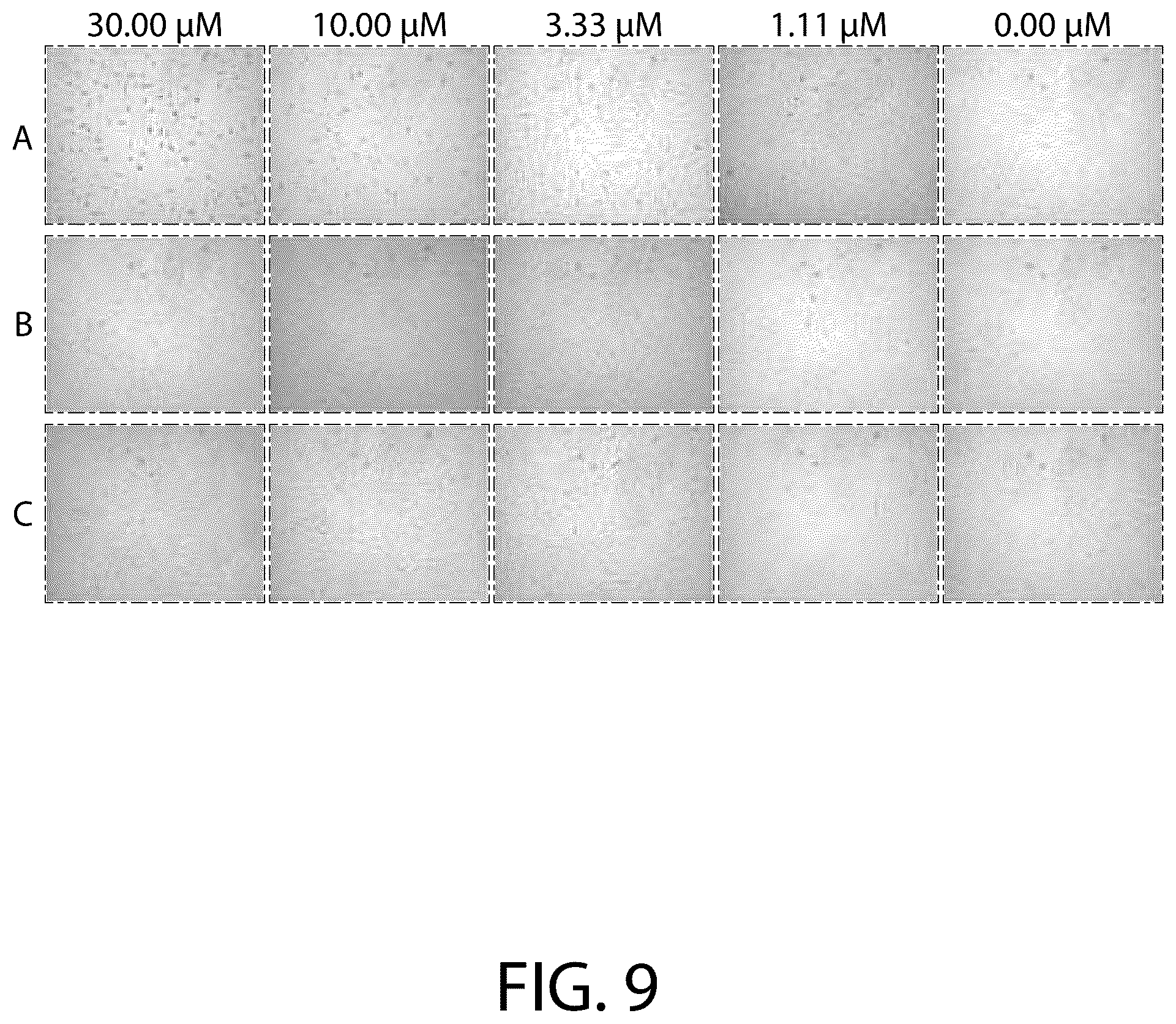 Patent US12479866 Figure 9 – Boron-containing rho kinase inhibitors