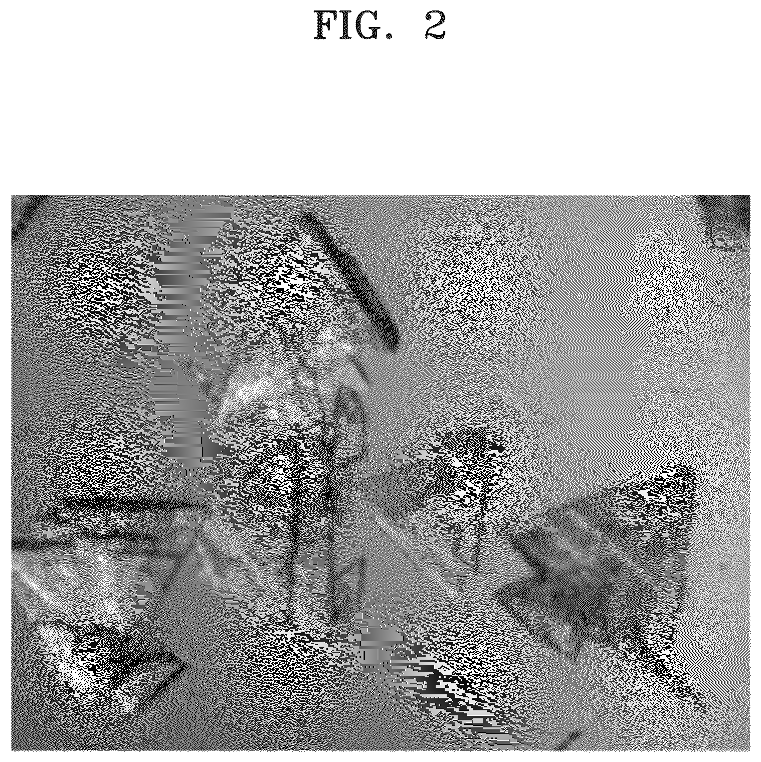 Patent US12479879 Figure 2 – Method for preparing disodium 5′-guanylate heptahydrate crystal