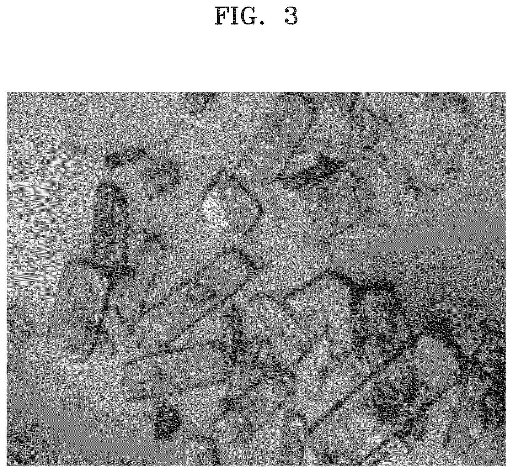 Patent US12479879 Figure 3 – Method for preparing disodium 5′-guanylate heptahydrate crystal