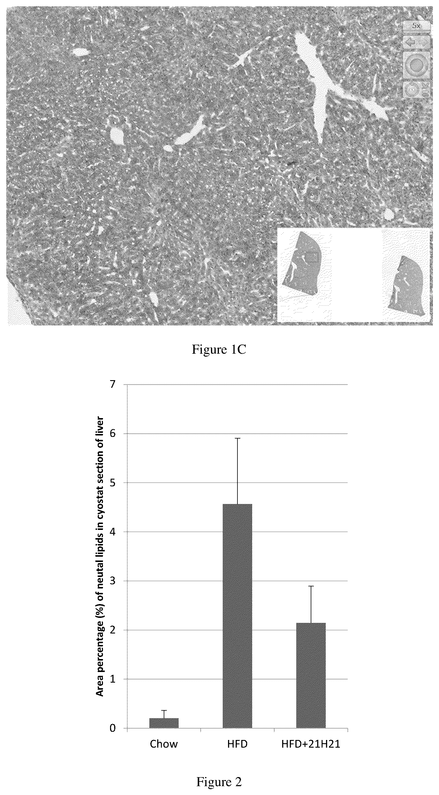 Patent US12479888 Figure 2 – Polypeptide and application thereof