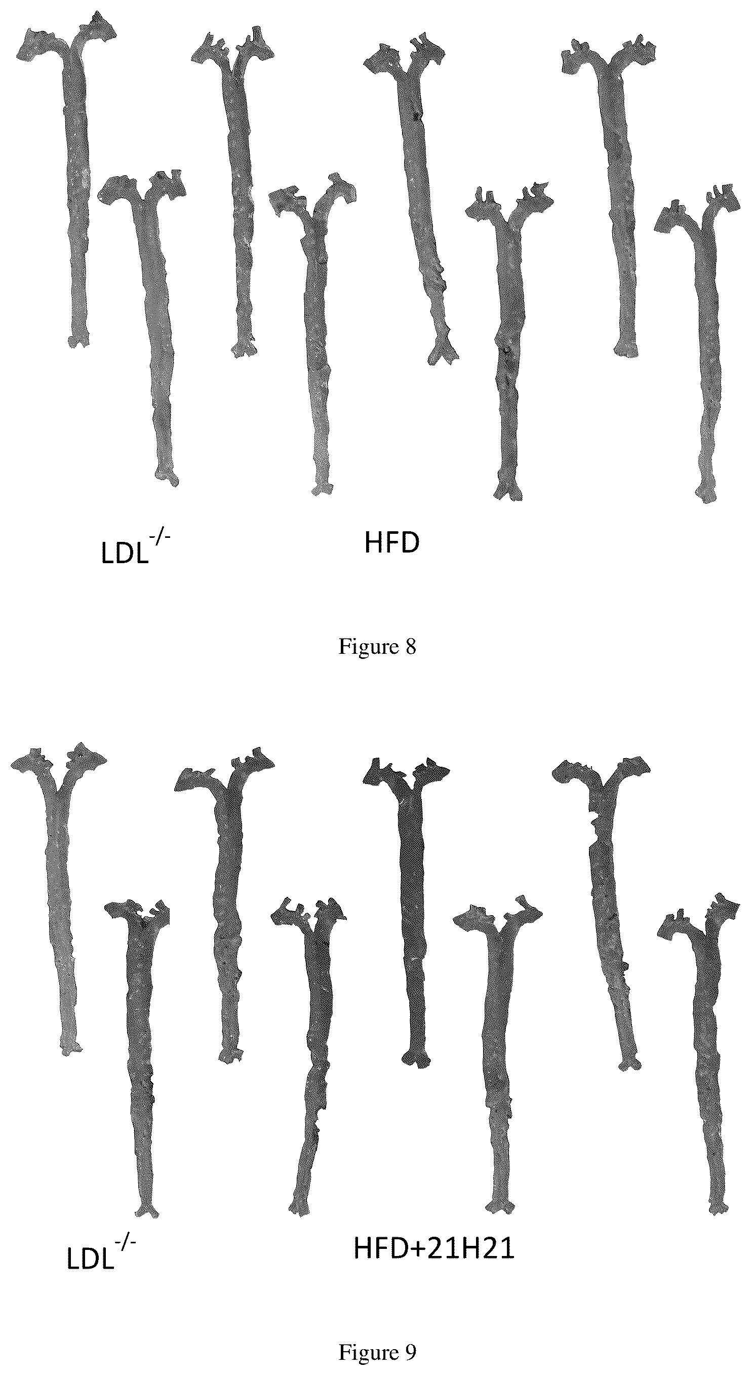 Patent US12479888 Figure 6 – Polypeptide and application thereof