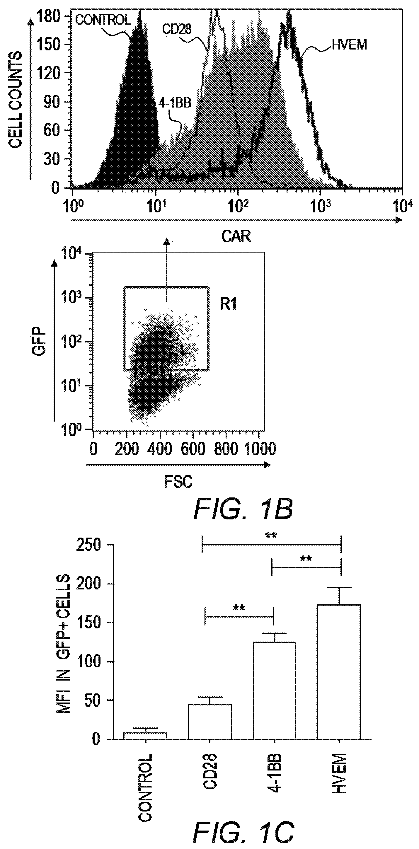 Patent US12479890 Figure 2 – Chimeric antigen receptor constructs and their use in CAR-T cells