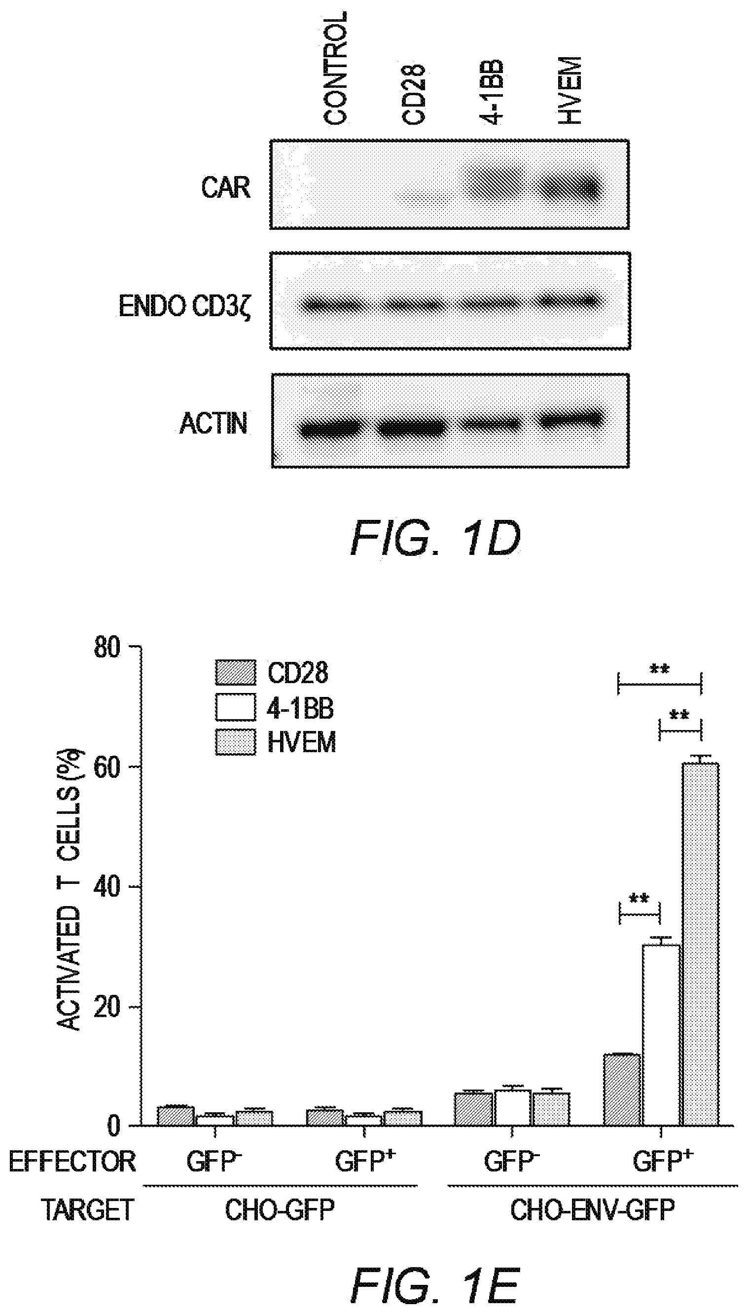 Patent US12479890 Figure 3 – Chimeric antigen receptor constructs and their use in CAR-T cells