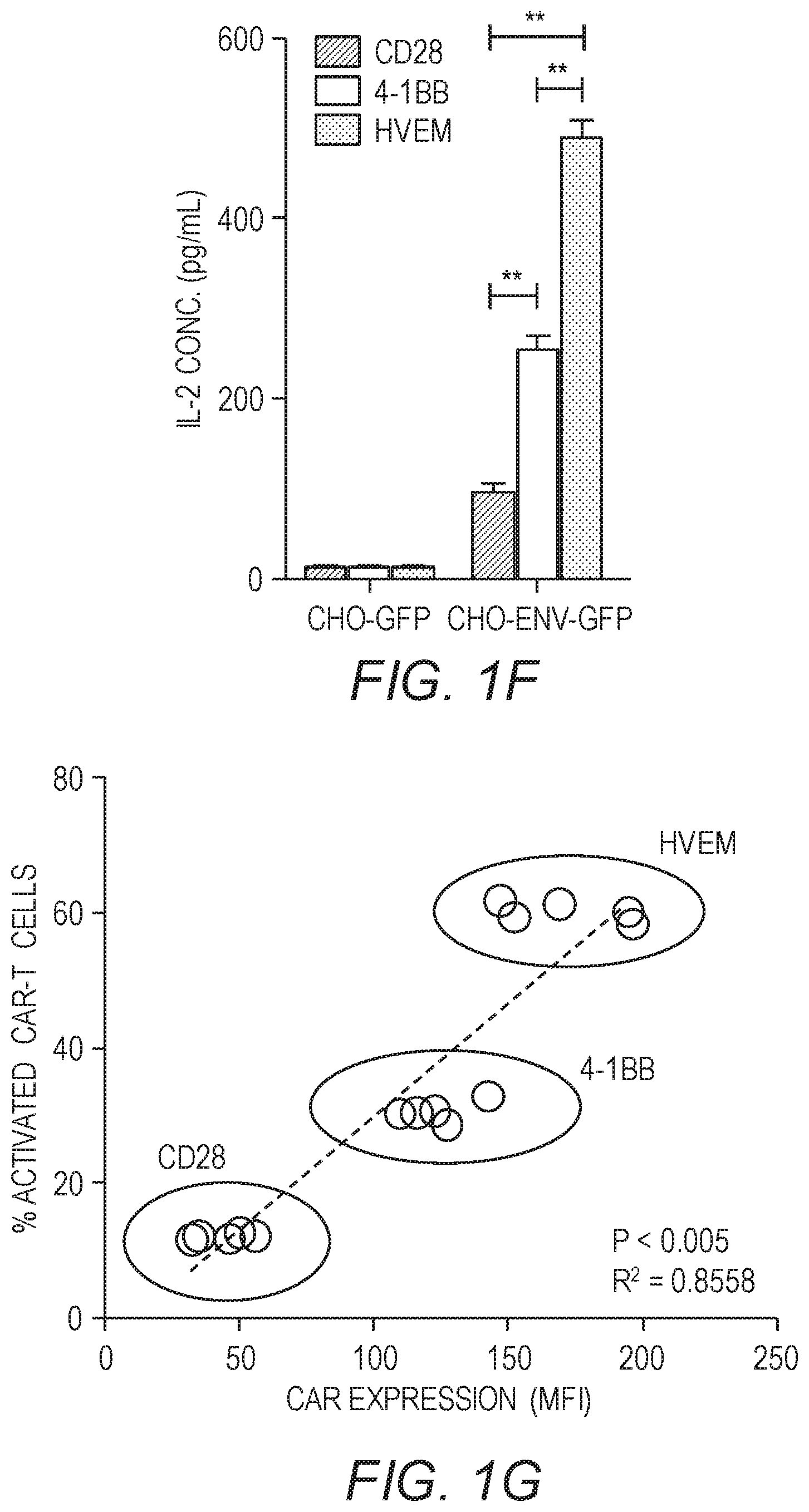 Patent US12479890 Figure 4 – Chimeric antigen receptor constructs and their use in CAR-T cells