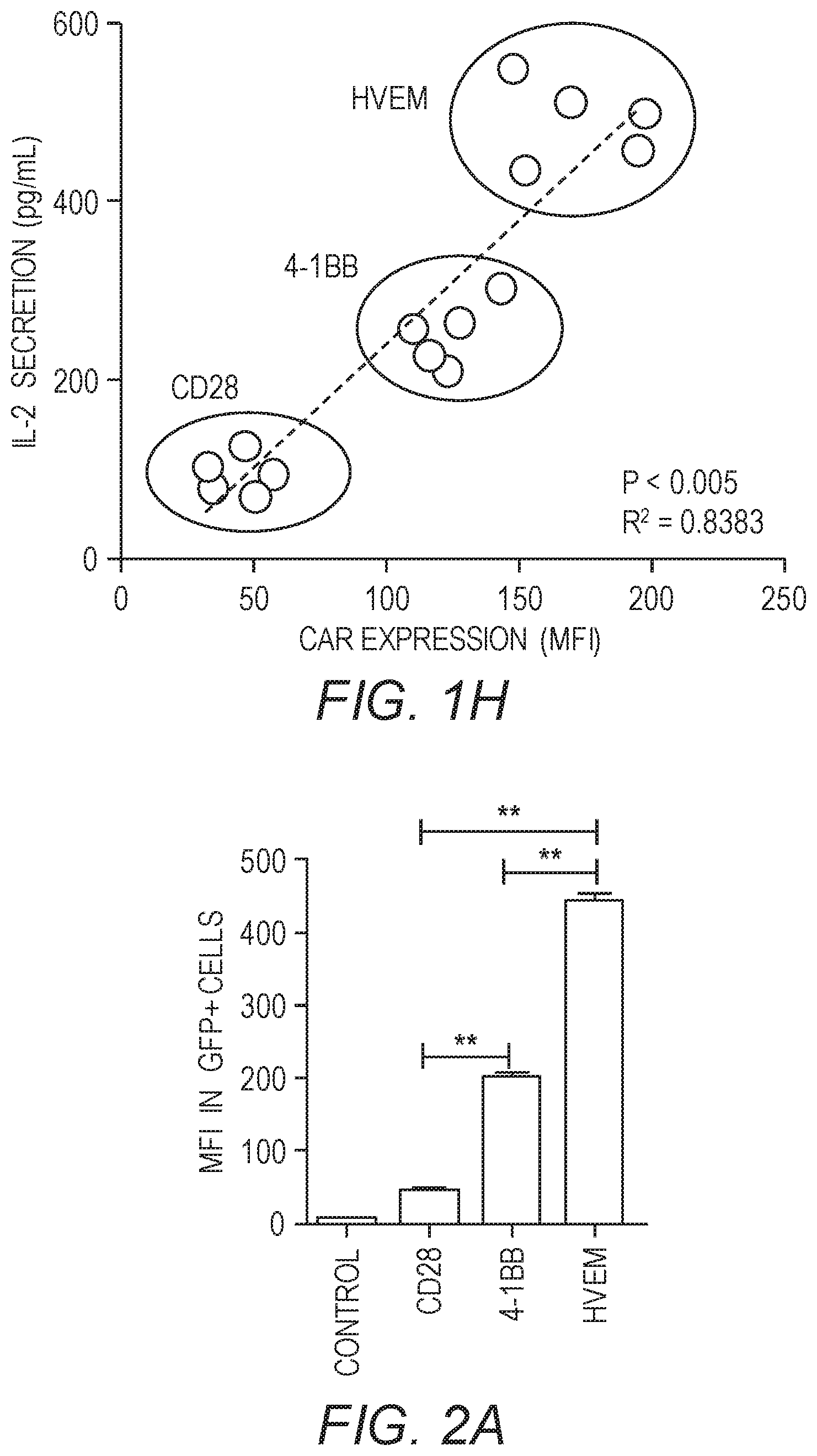 Patent US12479890 Figure 5 – Chimeric antigen receptor constructs and their use in CAR-T cells