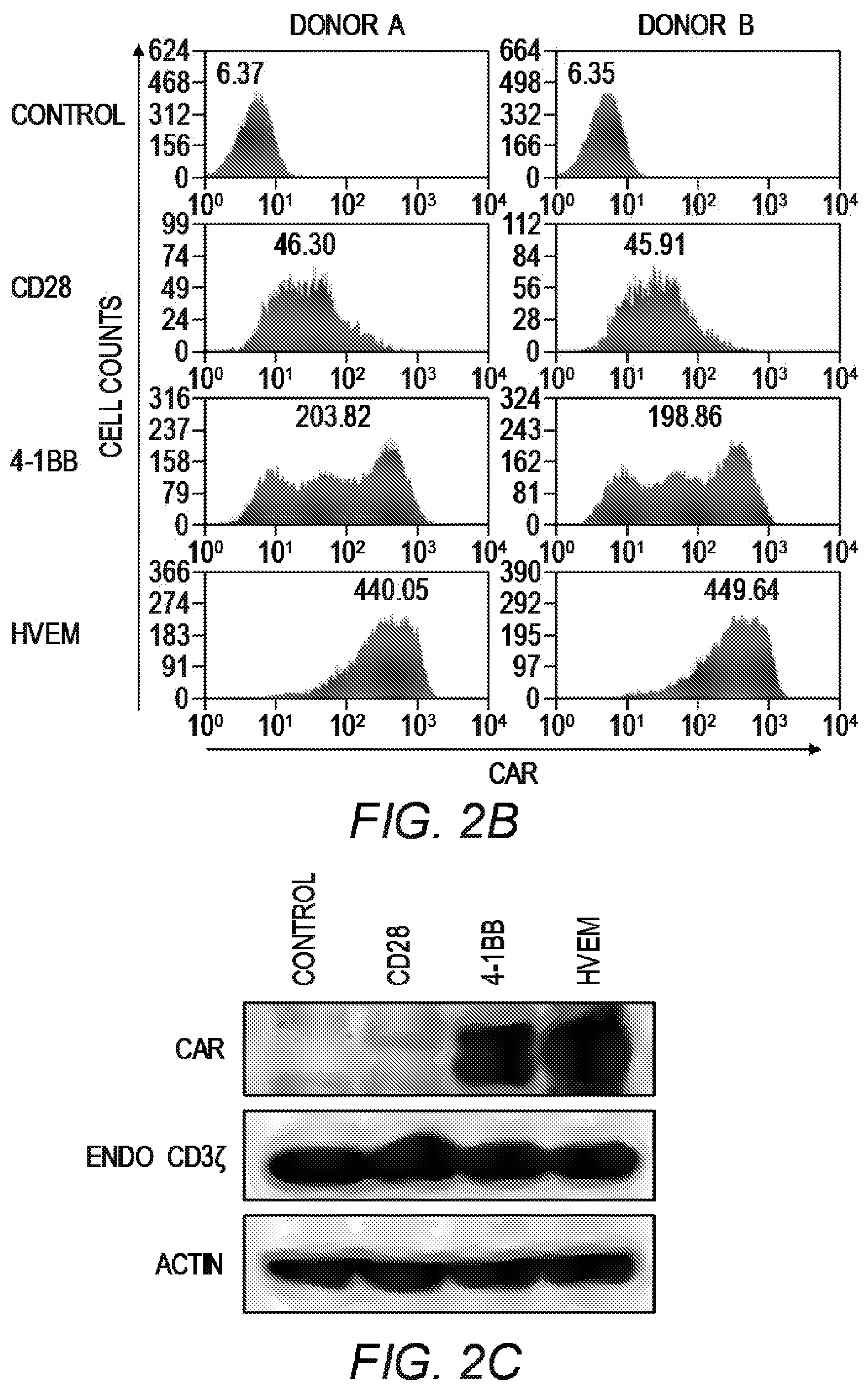 Patent US12479890 Figure 6 – Chimeric antigen receptor constructs and their use in CAR-T cells