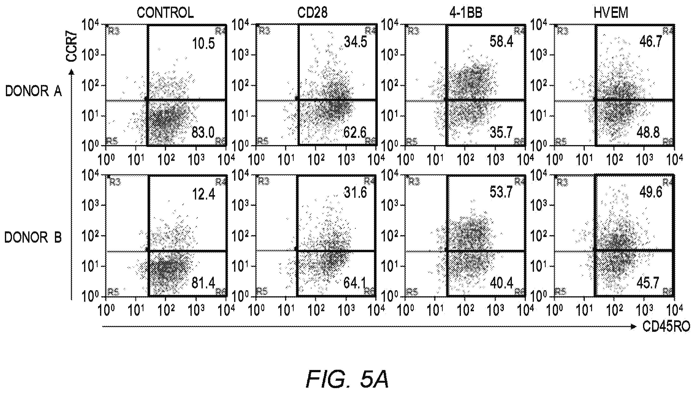 Patent US12479890 Figure 13 – Chimeric antigen receptor constructs and their use in CAR-T cells