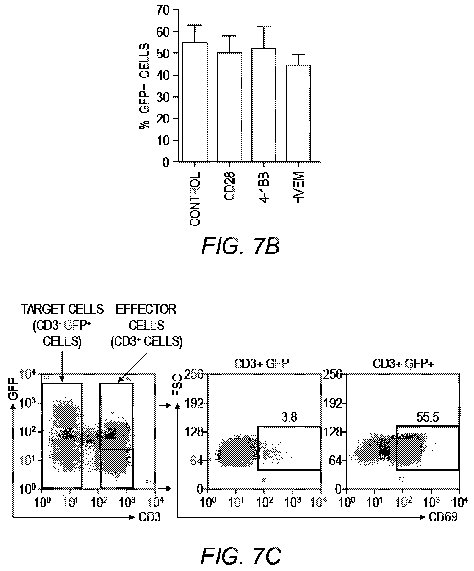 Patent US12479890 Figure 19 – Chimeric antigen receptor constructs and their use in CAR-T cells