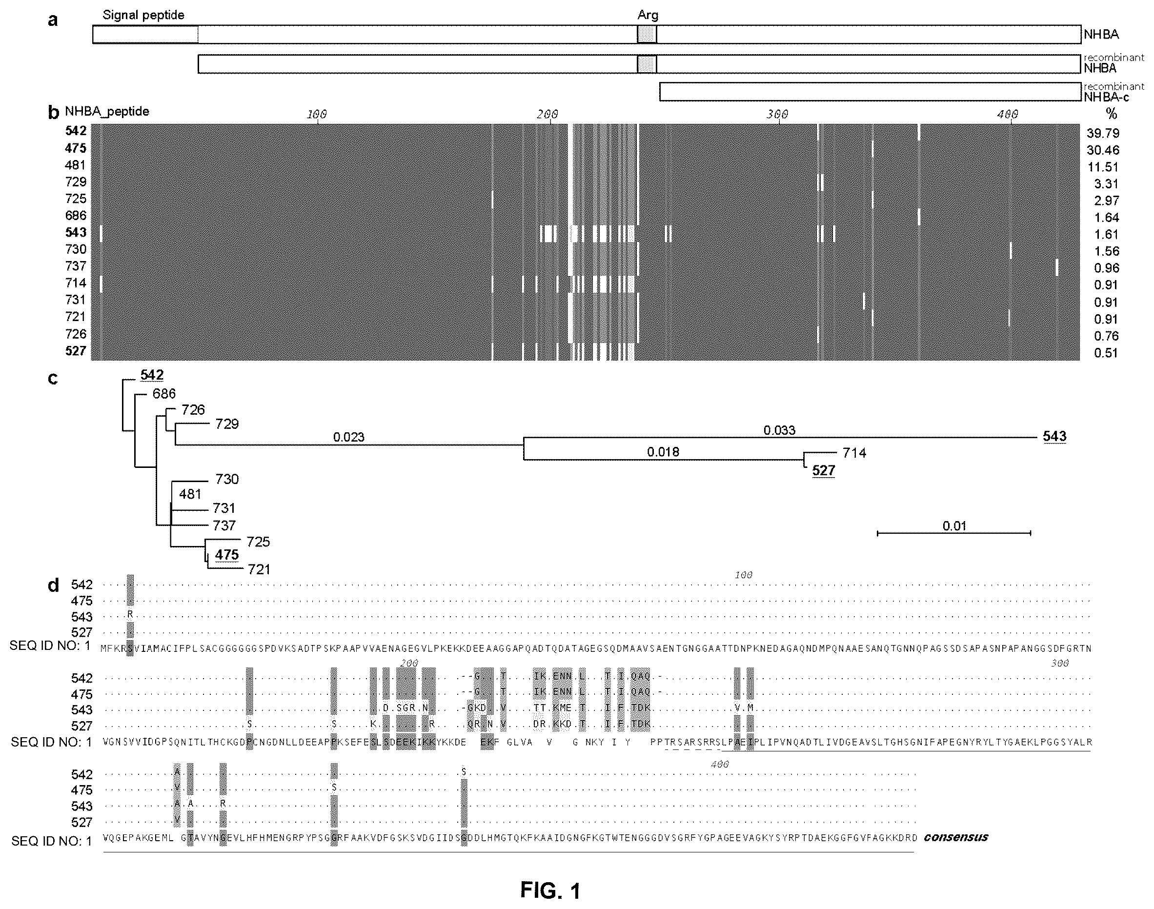 Patent US12479892 Figure 1 – Immunogenic protein against gonococcal infection
