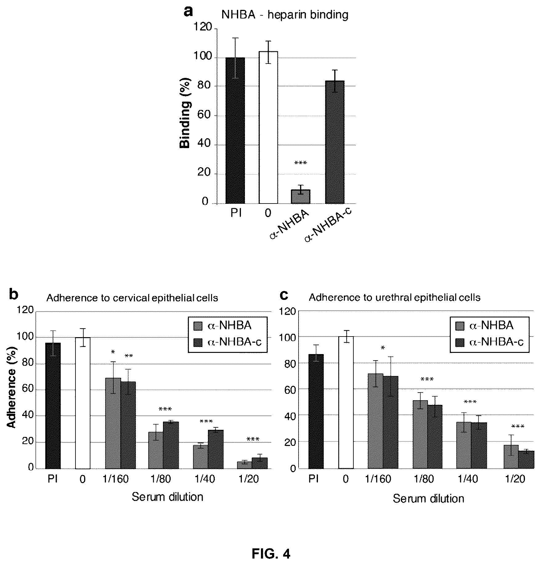 Patent US12479892 Figure 3 – Immunogenic protein against gonococcal infection