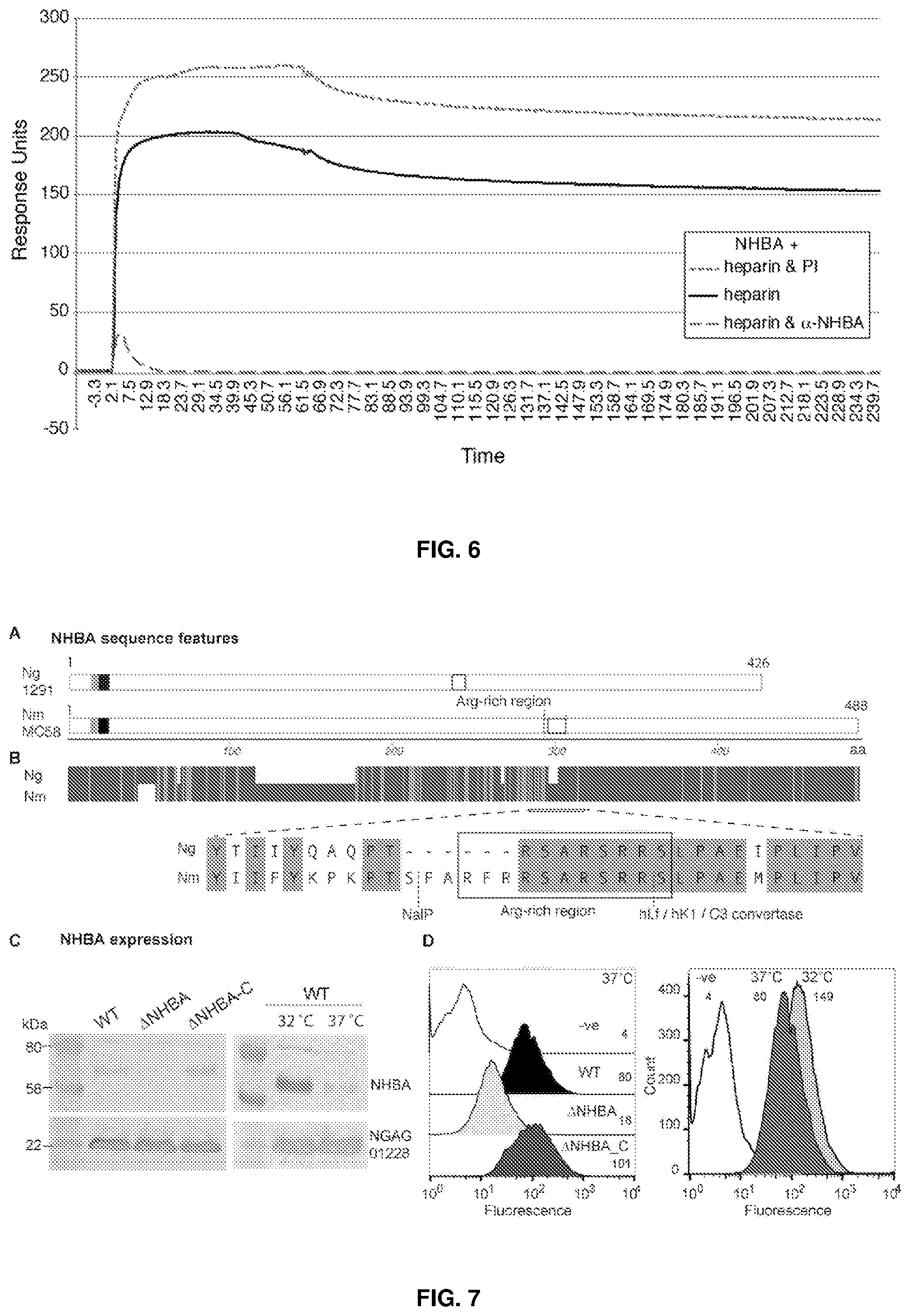 Patent US12479892 Figure 5 – Immunogenic protein against gonococcal infection