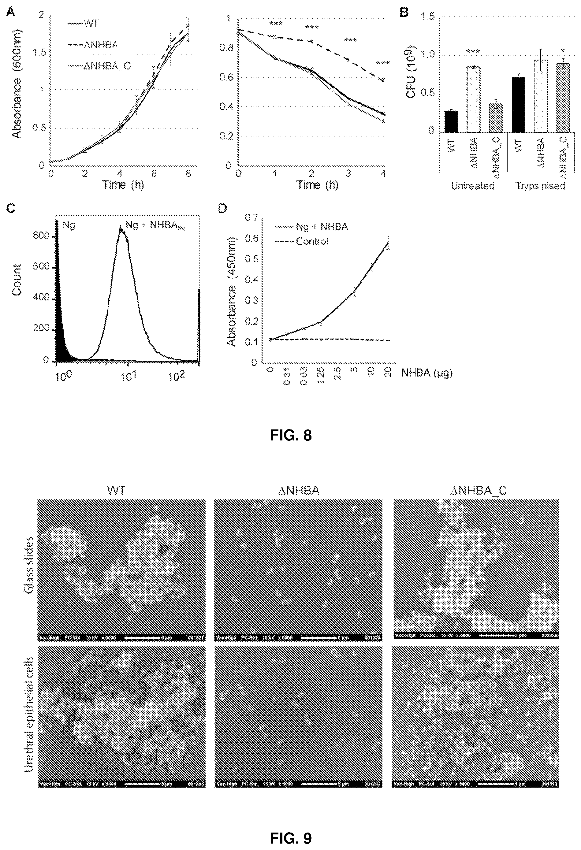 Patent US12479892 Figure 6 – Immunogenic protein against gonococcal infection