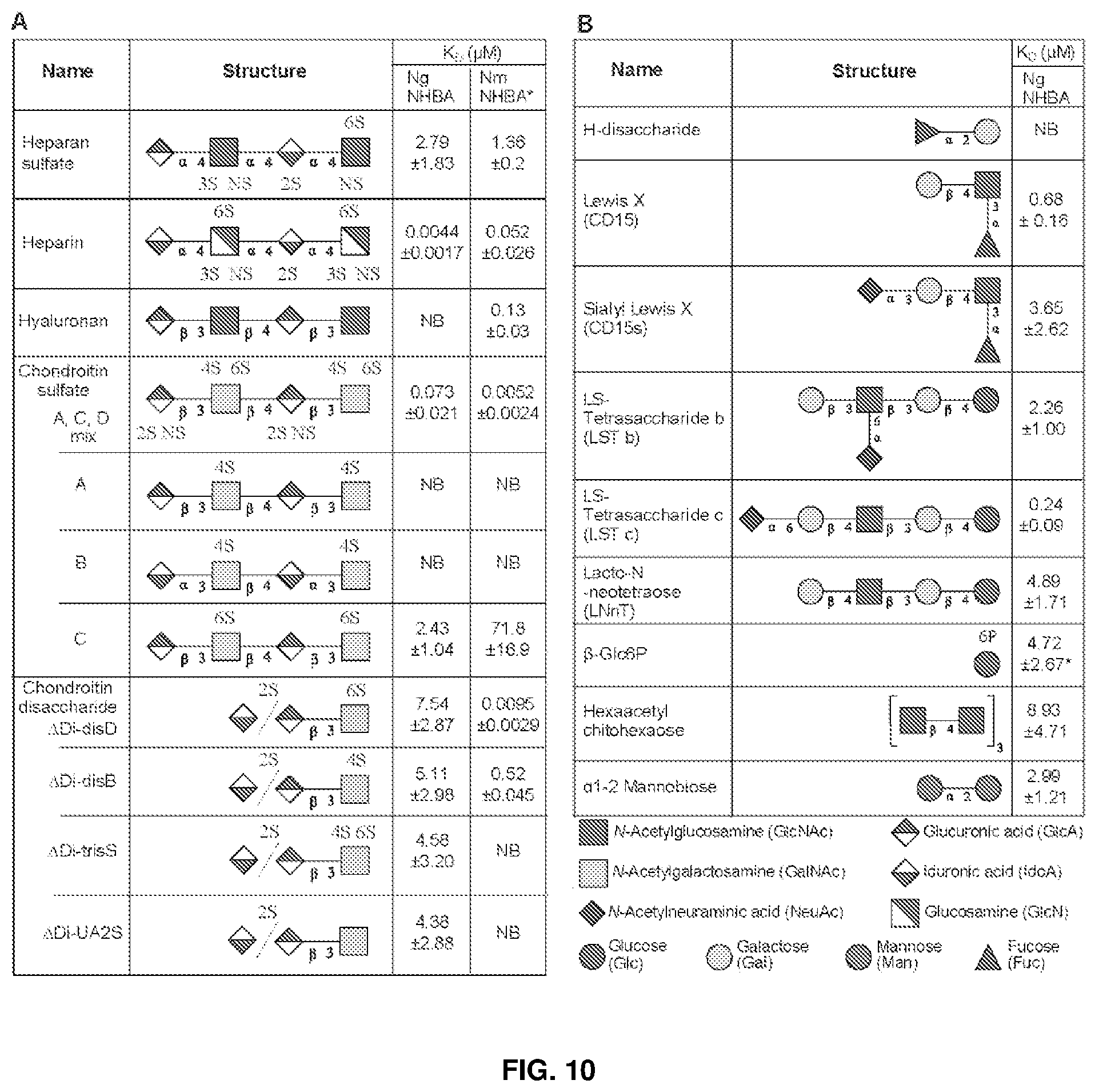 Patent US12479892 Figure 7 – Immunogenic protein against gonococcal infection