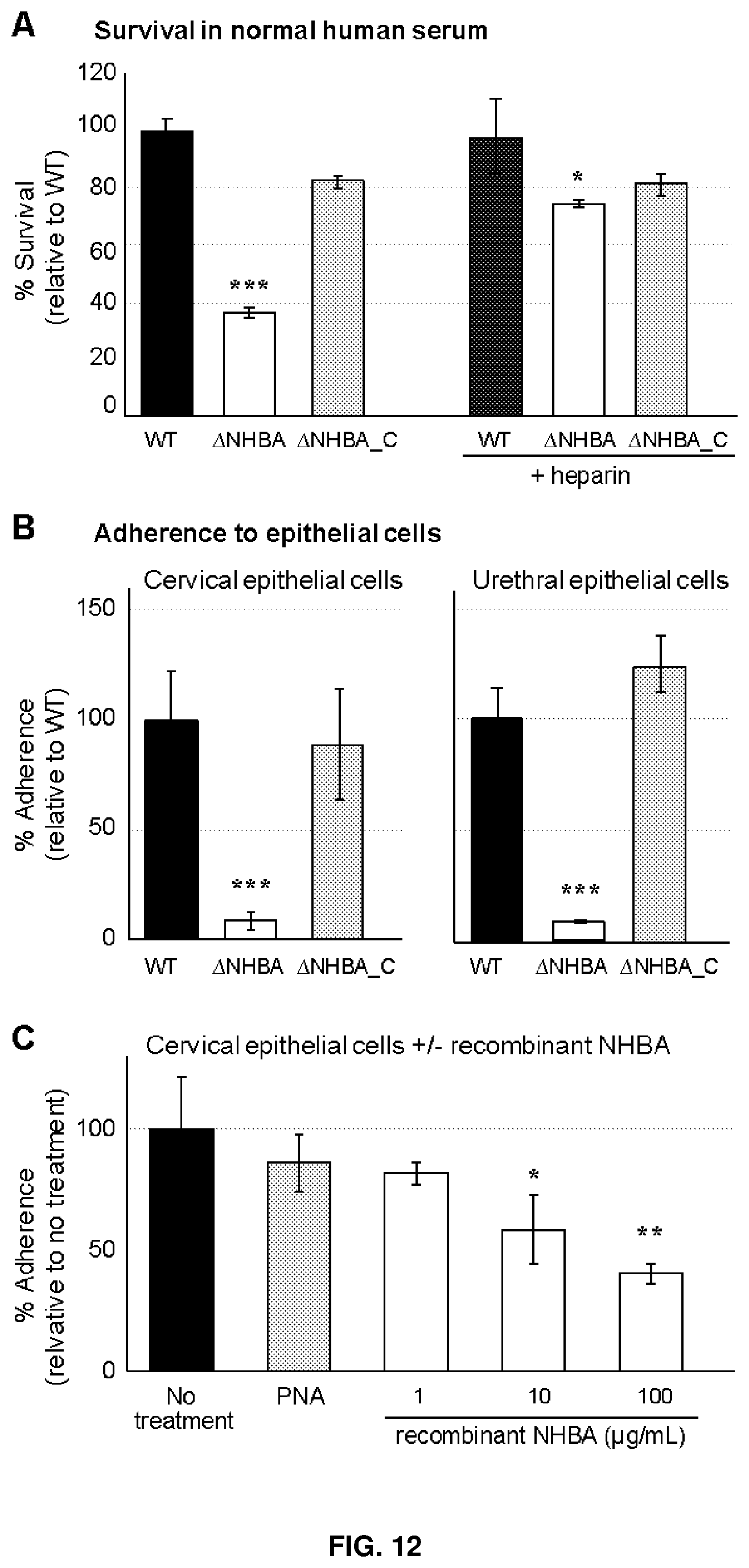 Patent US12479892 Figure 9 – Immunogenic protein against gonococcal infection