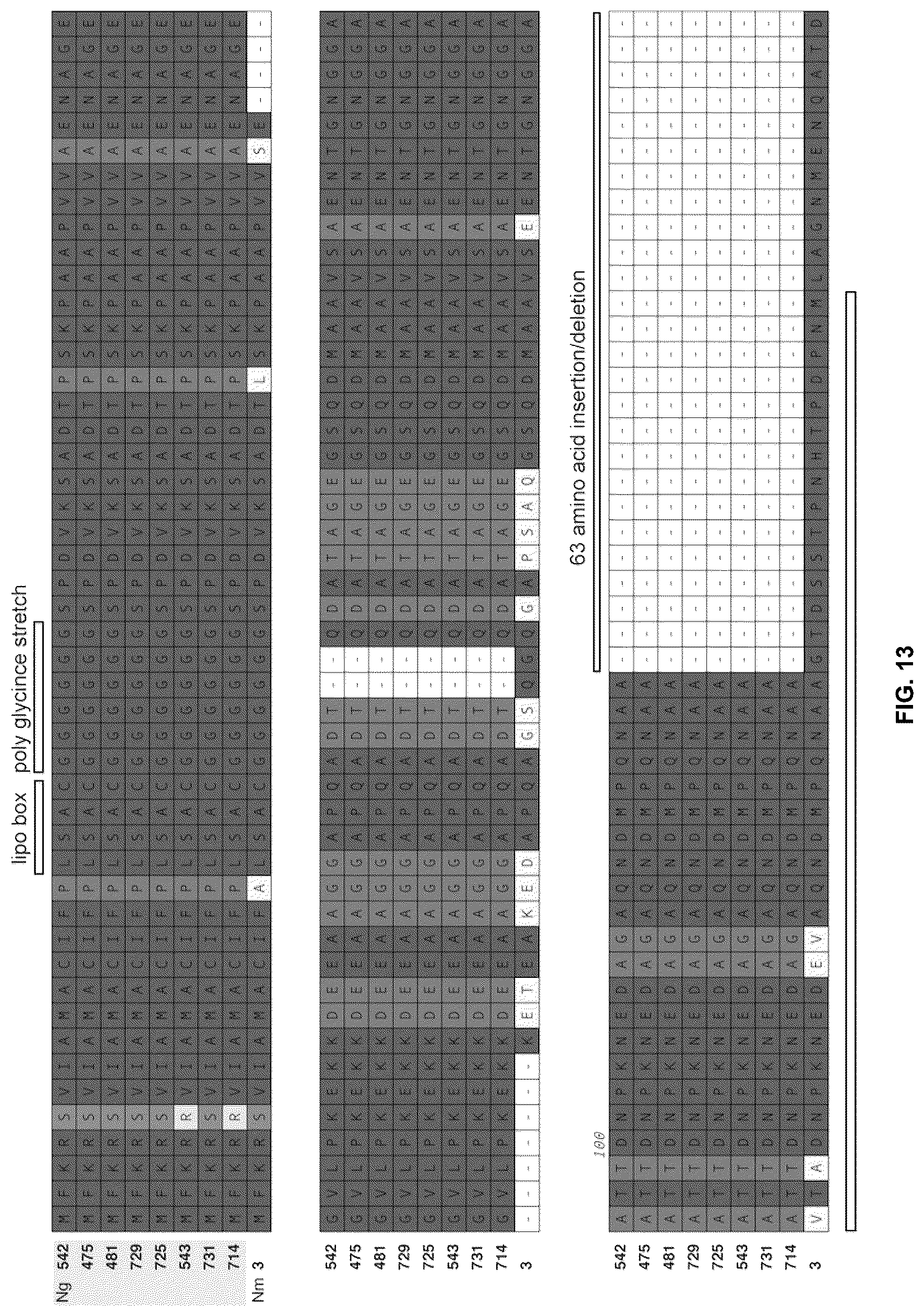 Patent US12479892 Figure 10 – Immunogenic protein against gonococcal infection