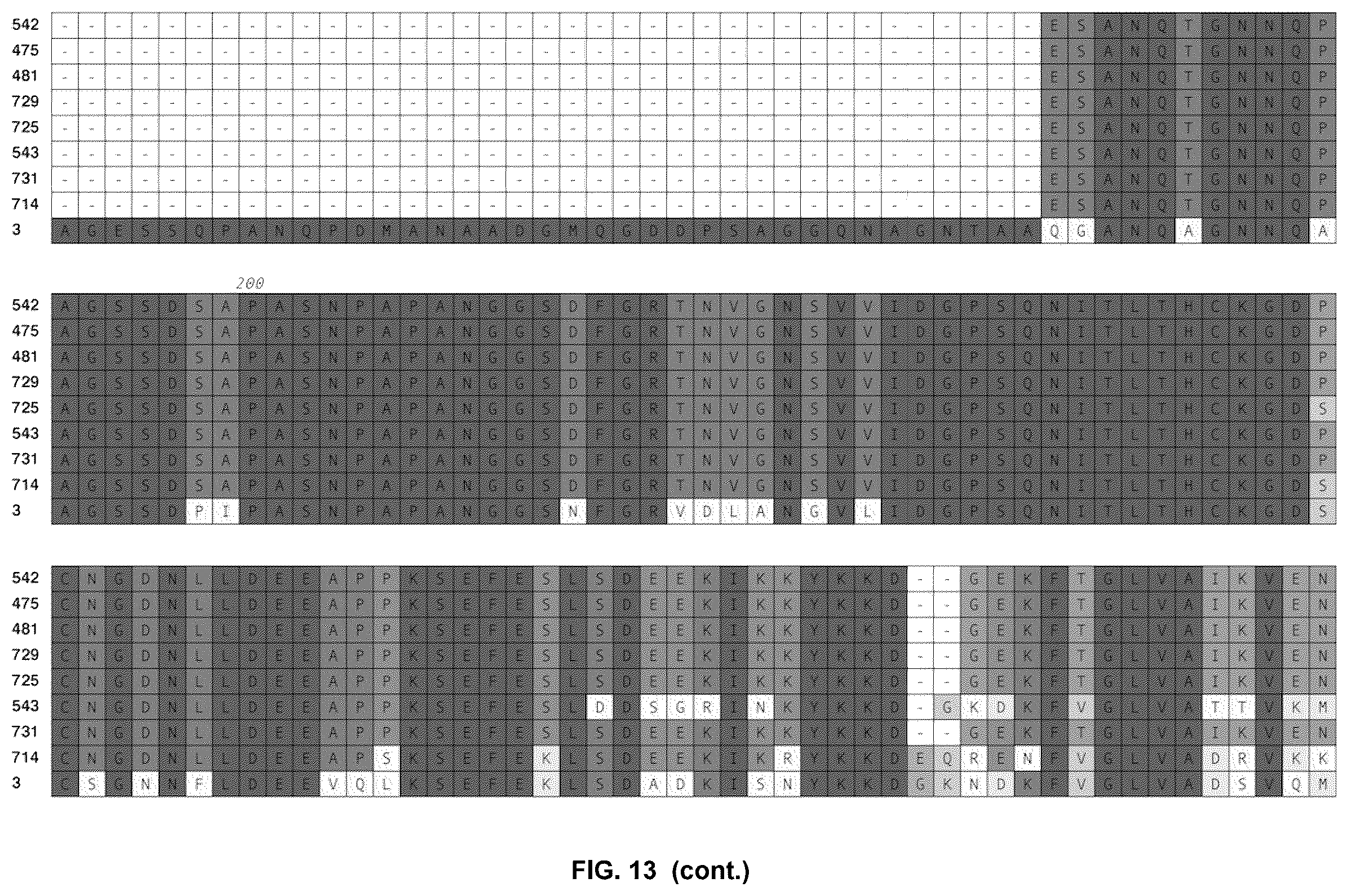 Patent US12479892 Figure 11 – Immunogenic protein against gonococcal infection