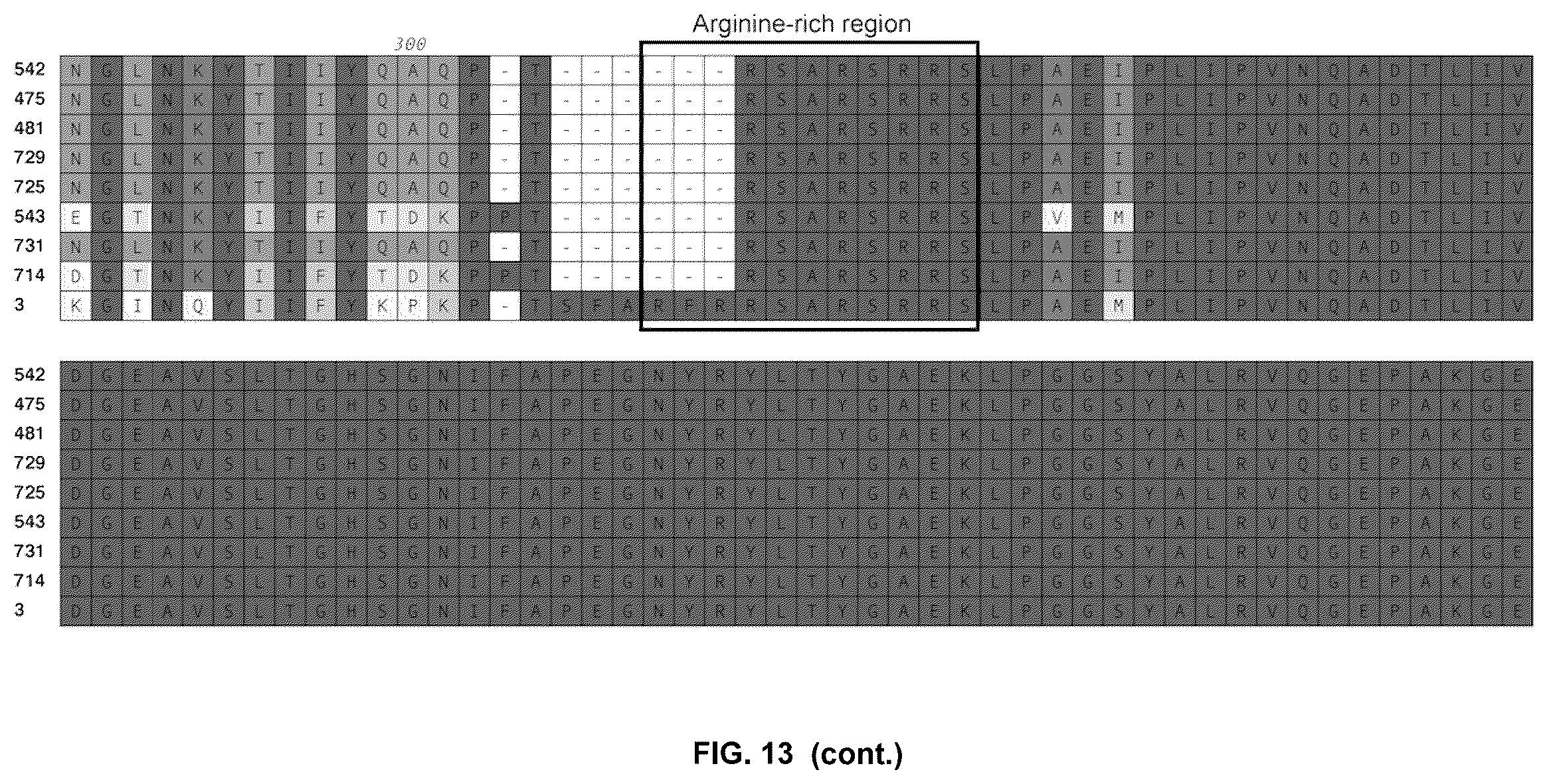 Patent US12479892 Figure 12 – Immunogenic protein against gonococcal infection