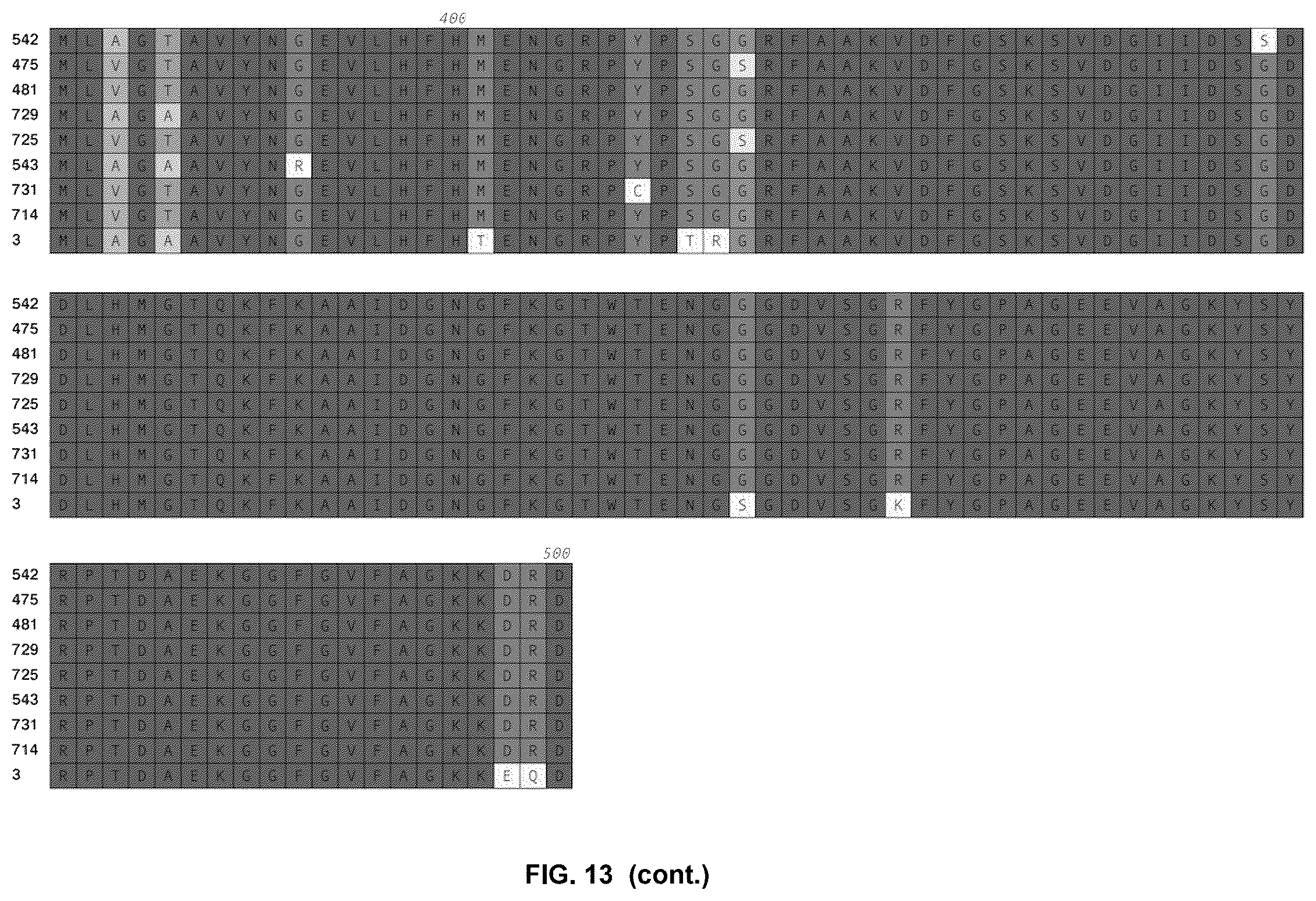 Patent US12479892 Figure 13 – Immunogenic protein against gonococcal infection