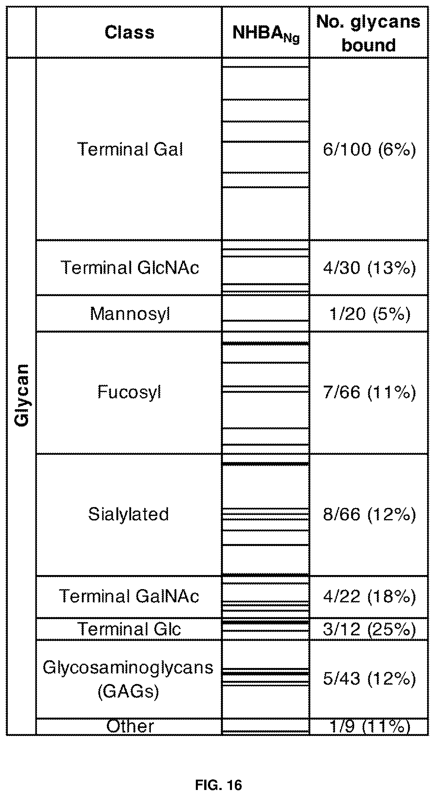 Patent US12479892 Figure 16 – Immunogenic protein against gonococcal infection