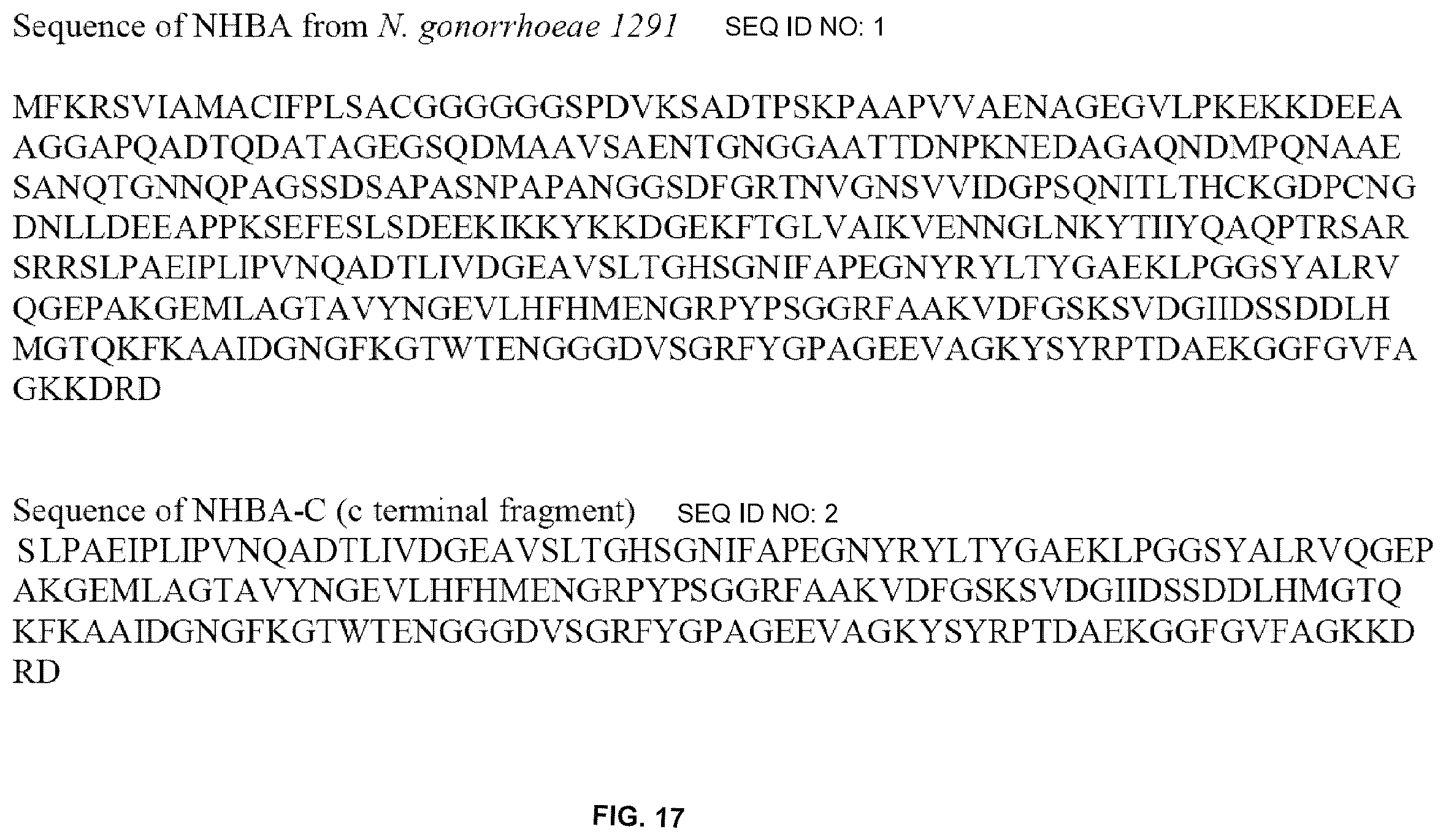 Patent US12479892 Figure 17 – Immunogenic protein against gonococcal infection
