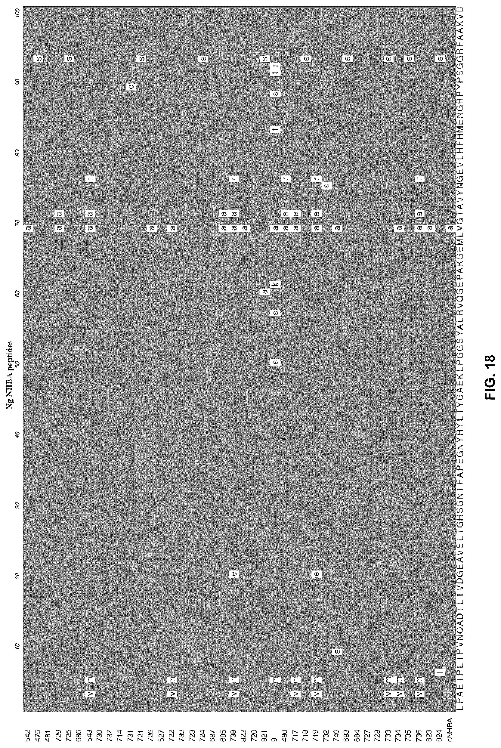 Patent US12479892 Figure 18 – Immunogenic protein against gonococcal infection