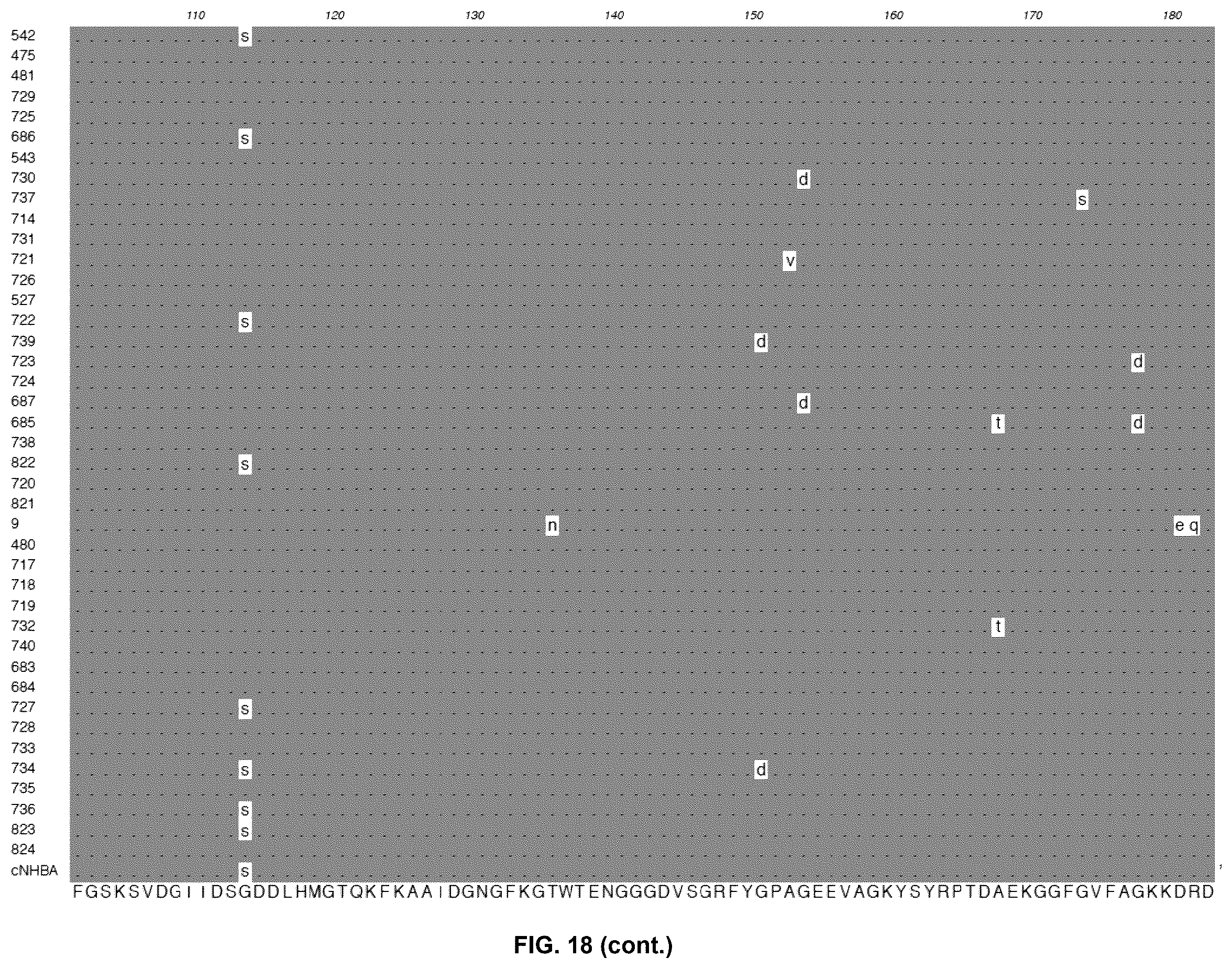 Patent US12479892 Figure 19 – Immunogenic protein against gonococcal infection