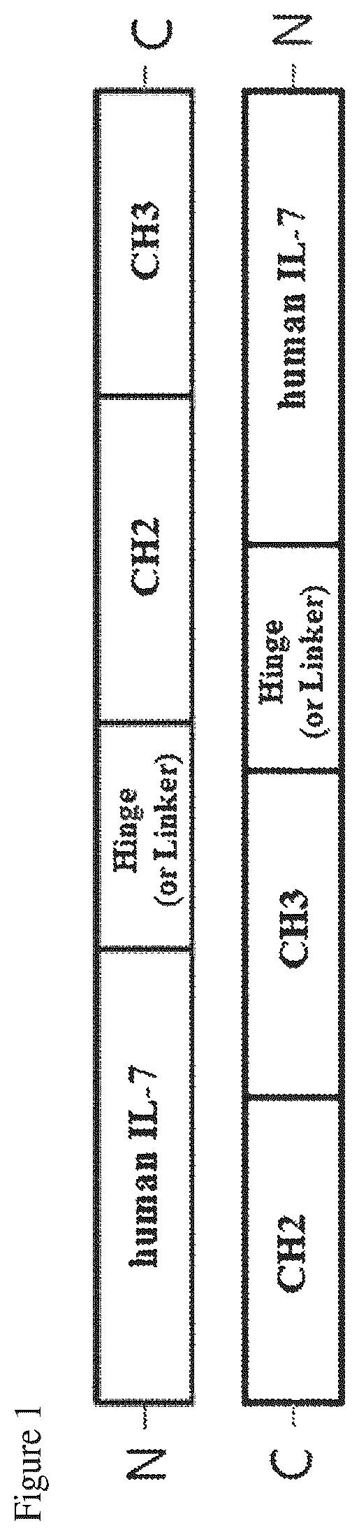 Patent US12479898 Figure 1 – Pharmaceutical composition comprising immunoglobulin fc-fused interleukin-7 fusion protein for preventing or treating human papillomavirus-caused diseases