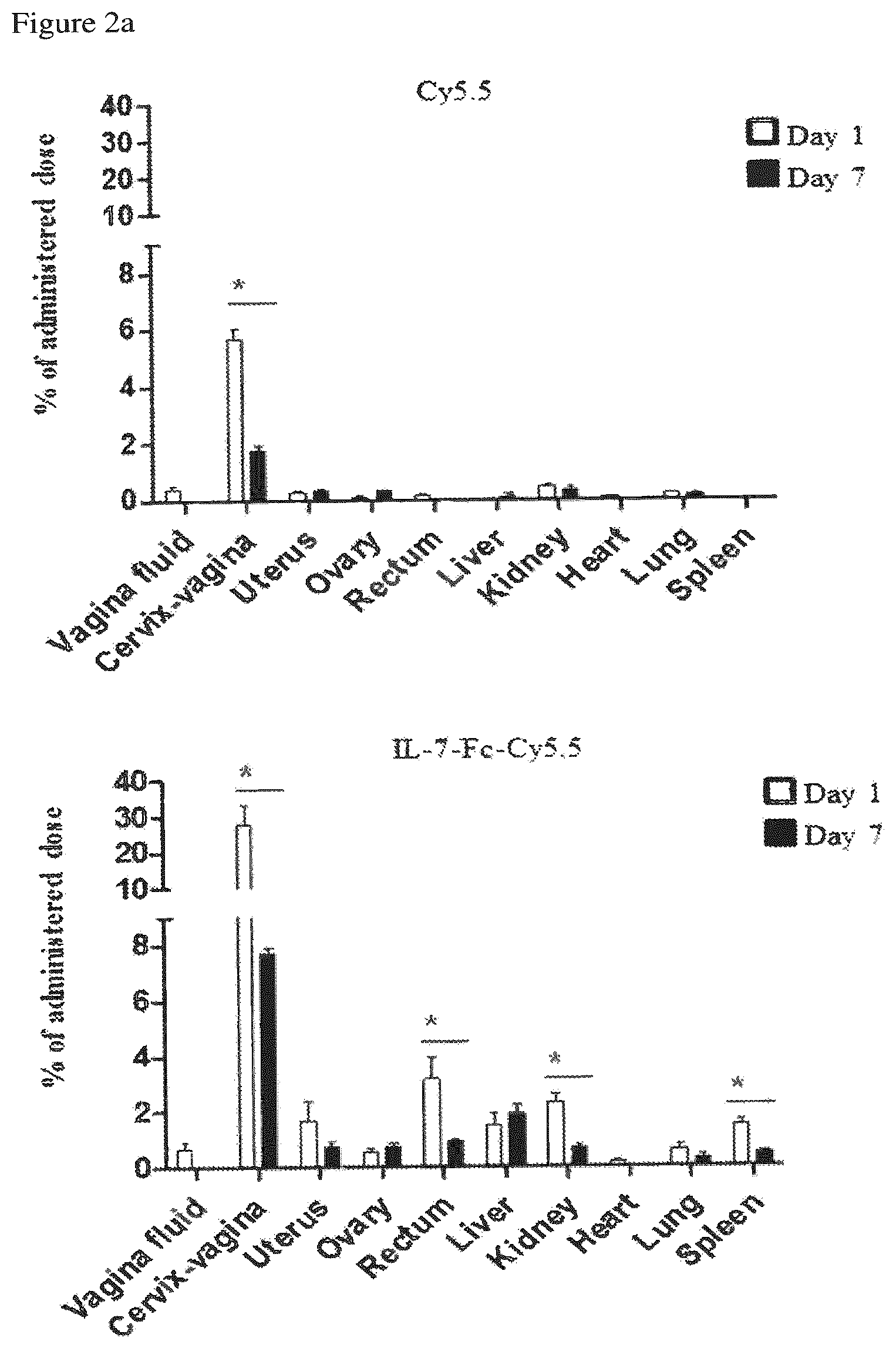 Patent US12479898 Figure 2 – Pharmaceutical composition comprising immunoglobulin fc-fused interleukin-7 fusion protein for preventing or treating human papillomavirus-caused diseases
