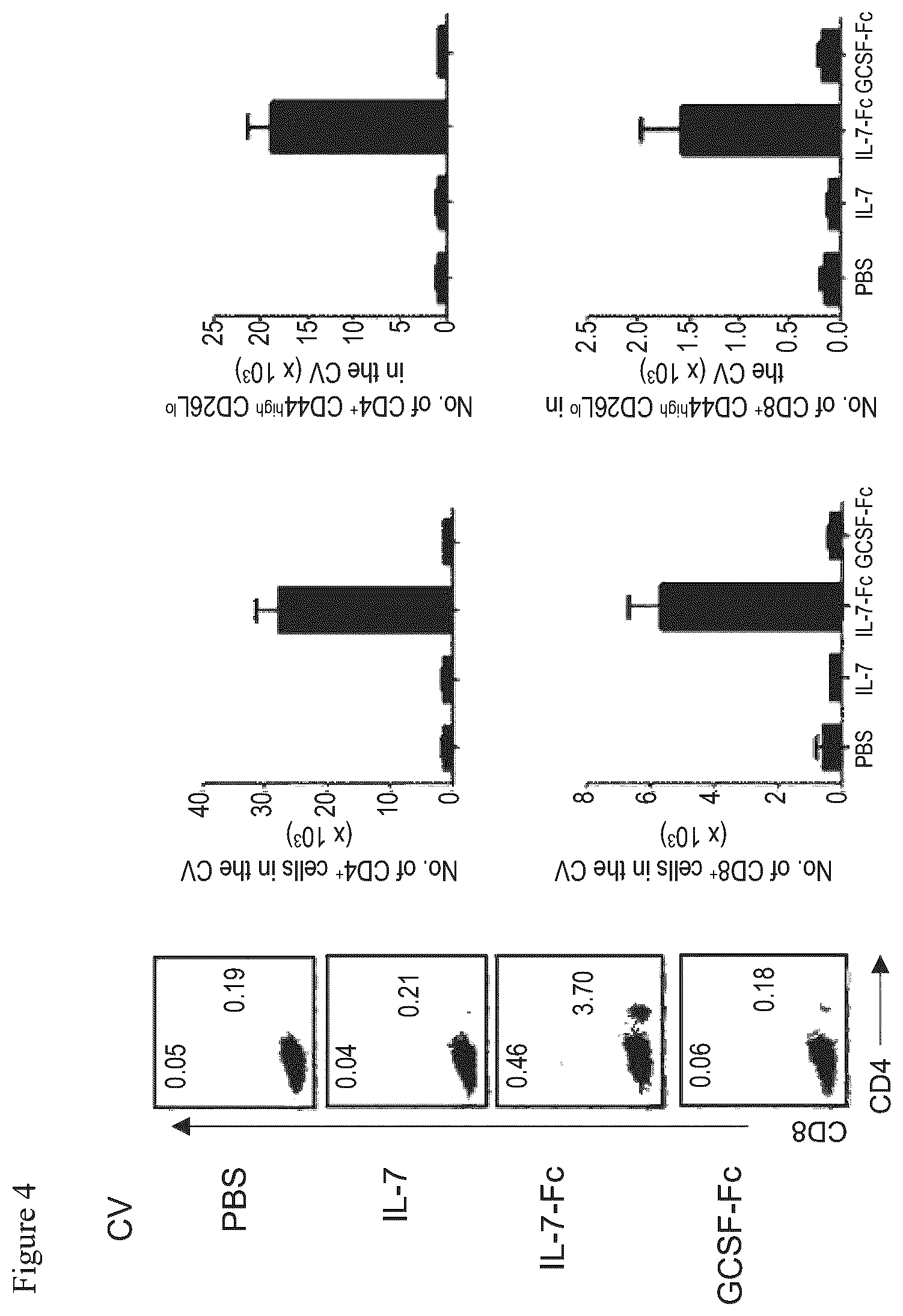 Patent US12479898 Figure 5 – Pharmaceutical composition comprising immunoglobulin fc-fused interleukin-7 fusion protein for preventing or treating human papillomavirus-caused diseases