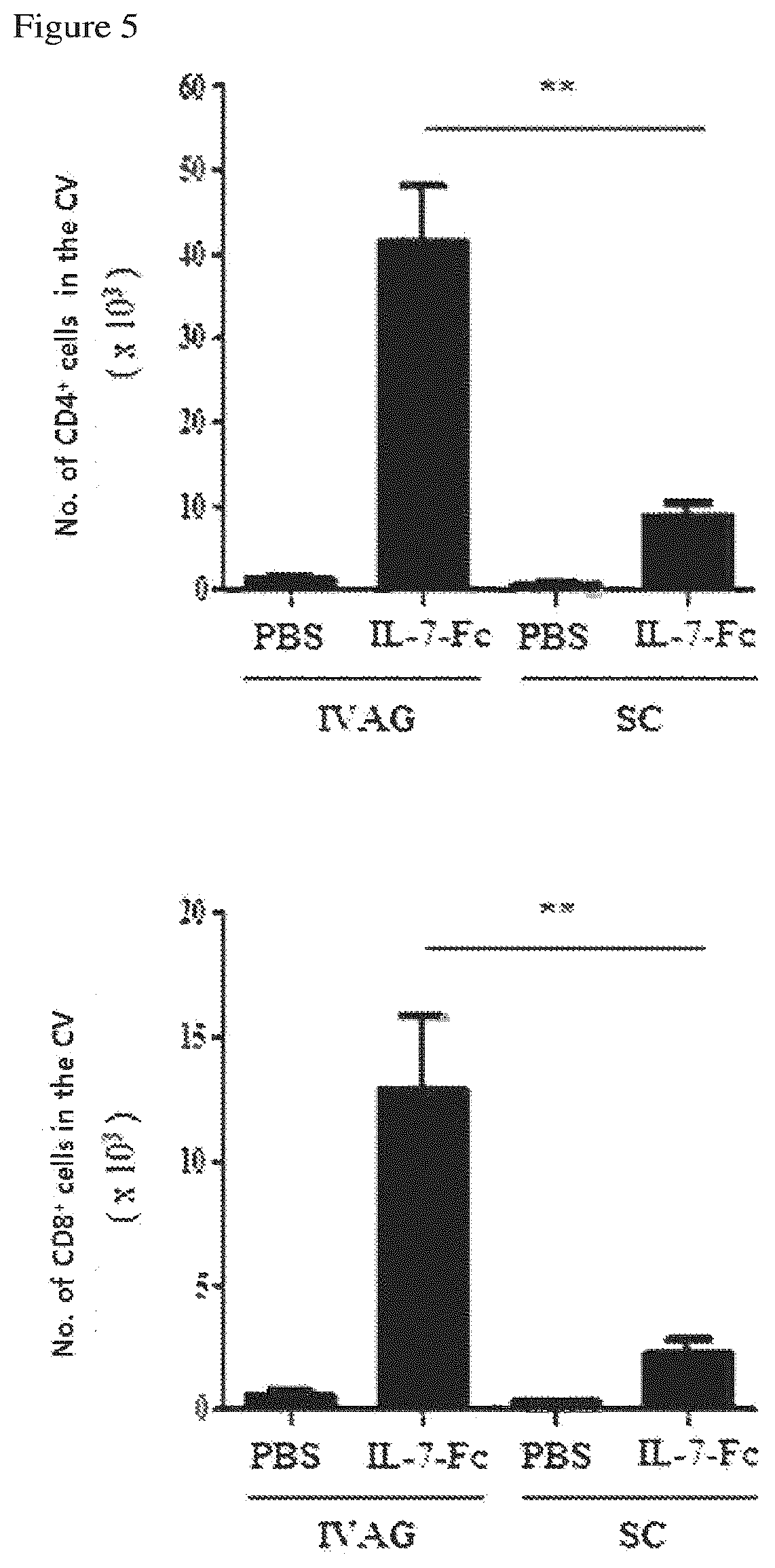 Patent US12479898 Figure 6 – Pharmaceutical composition comprising immunoglobulin fc-fused interleukin-7 fusion protein for preventing or treating human papillomavirus-caused diseases