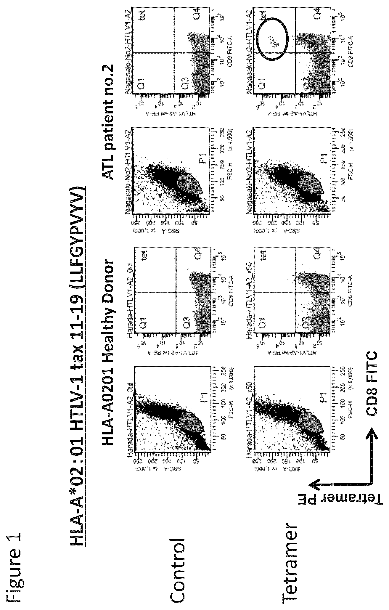 Patent US12479901 Figure 1 – T-cell receptor