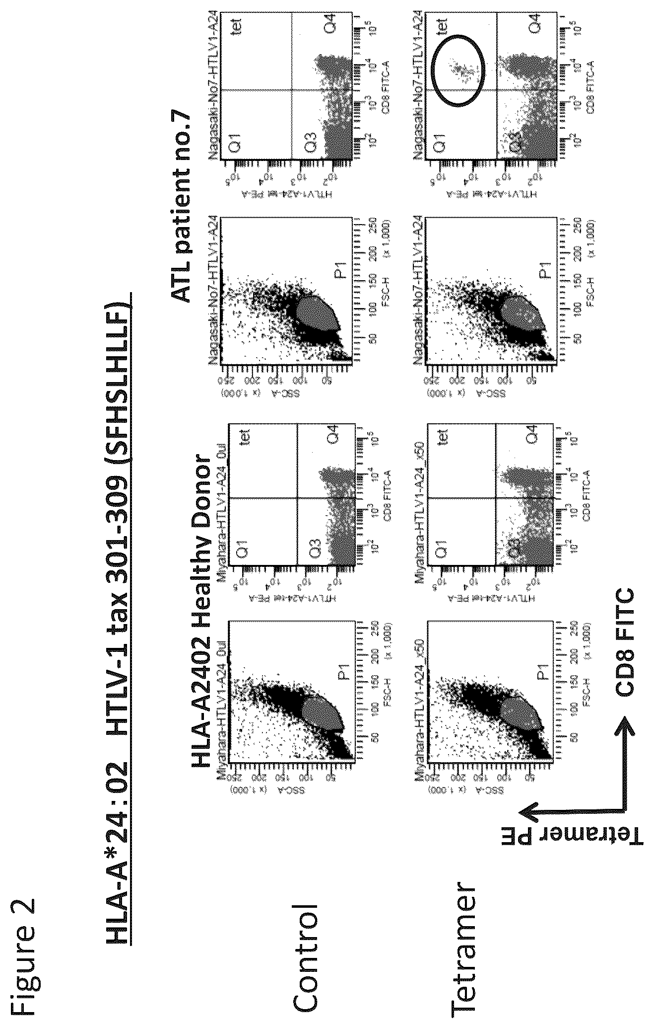 Patent US12479901 Figure 2 – T-cell receptor