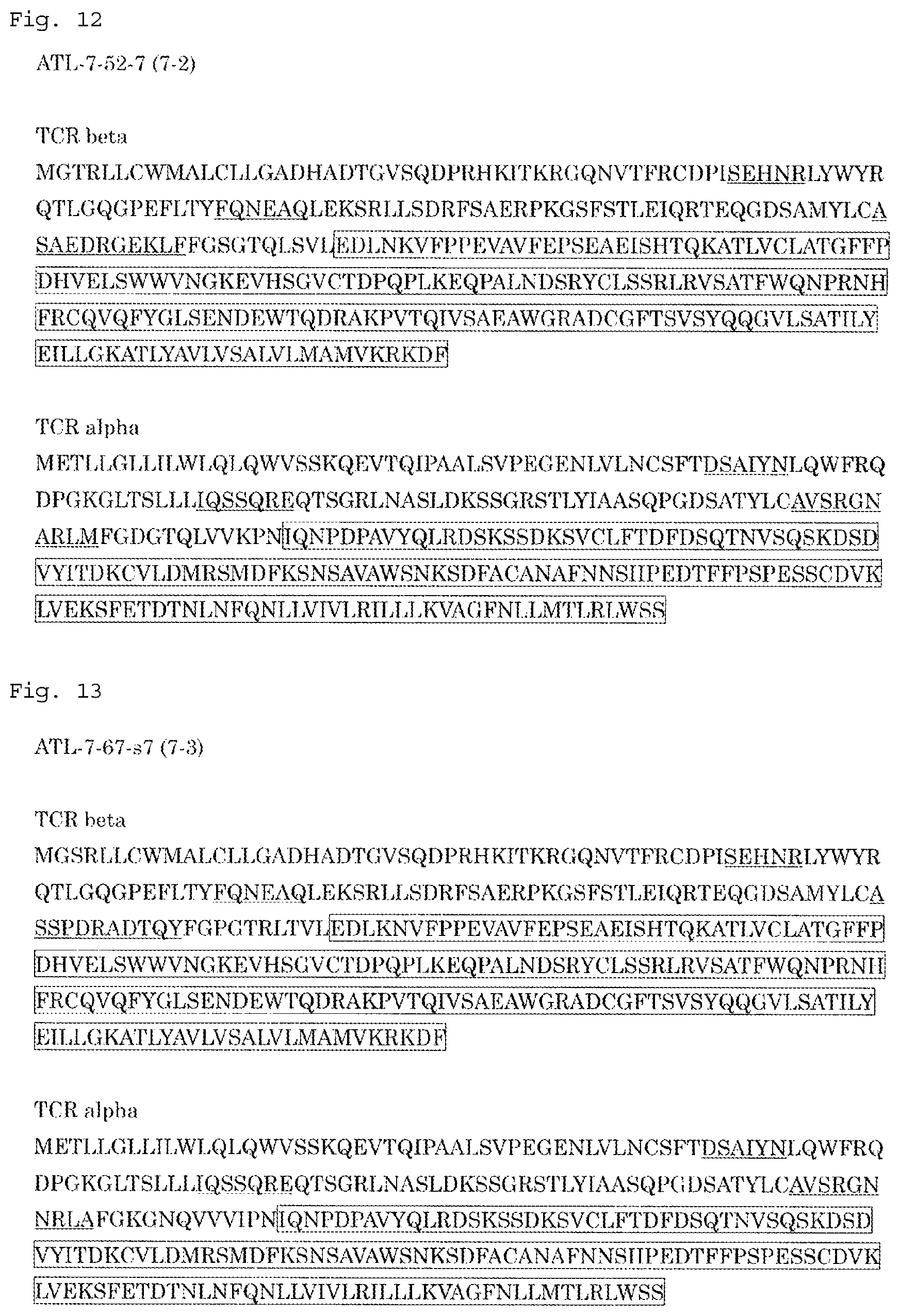Patent US12479901 Figure 8 – T-cell receptor