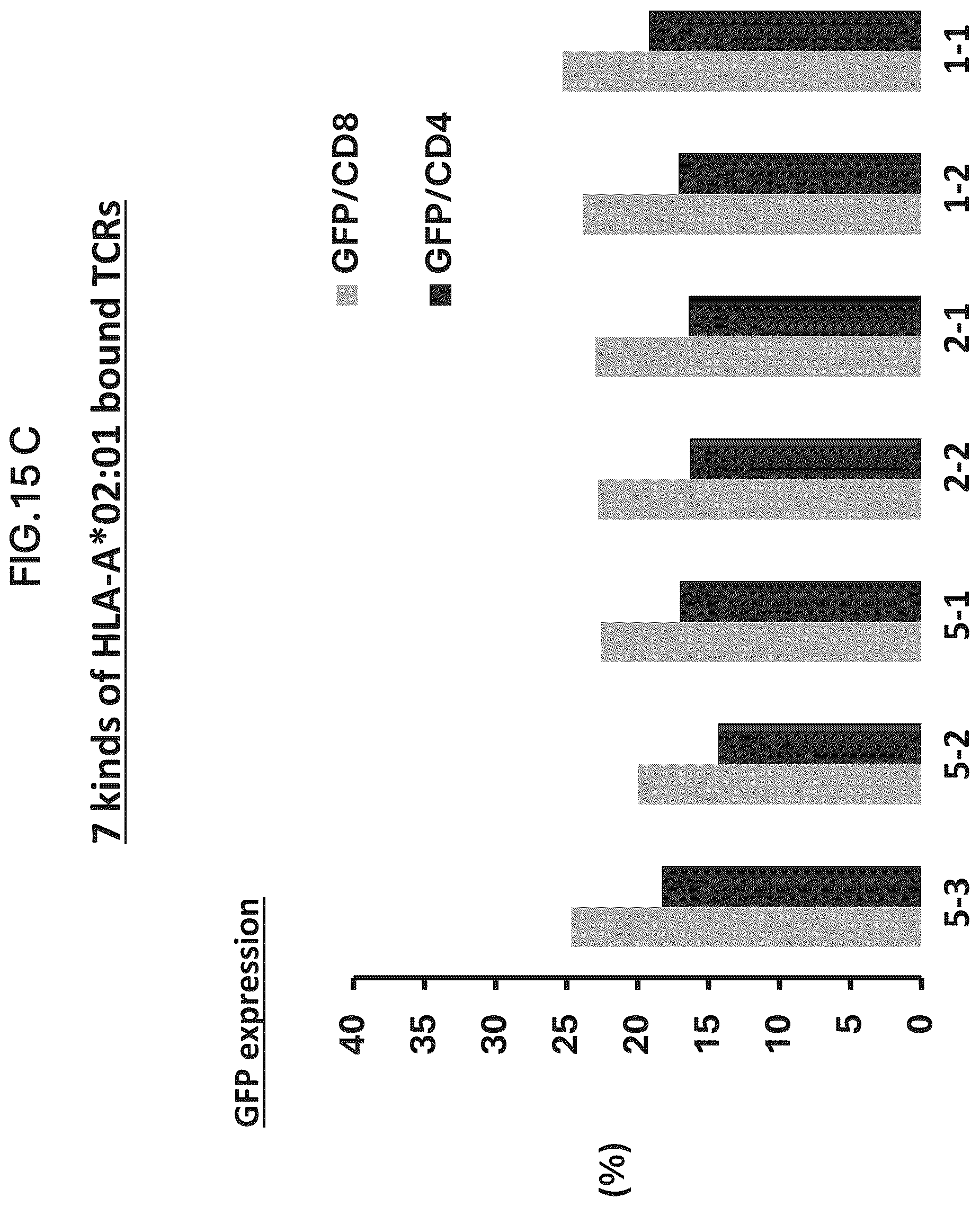 Patent US12479901 Figure 14 – T-cell receptor
