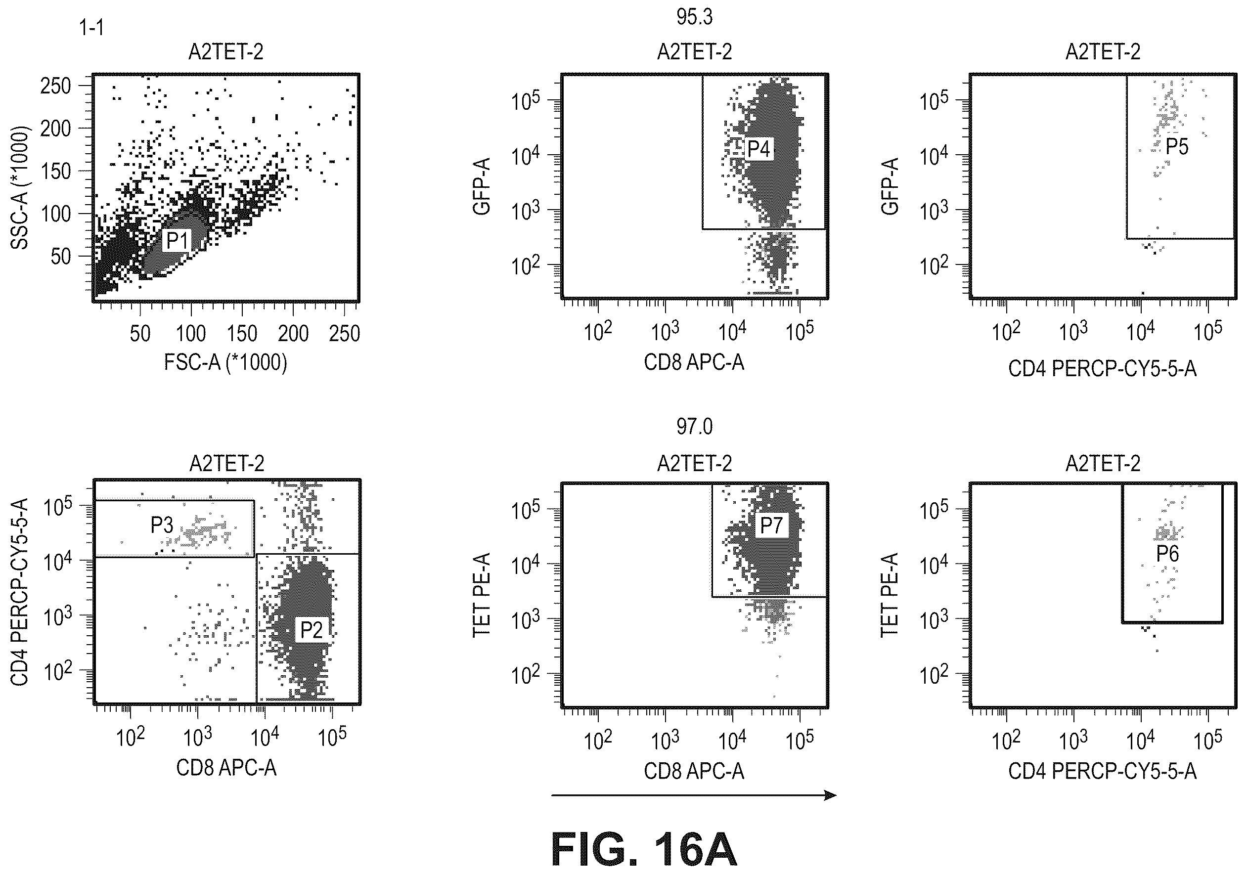 Patent US12479901 Figure 15 – T-cell receptor