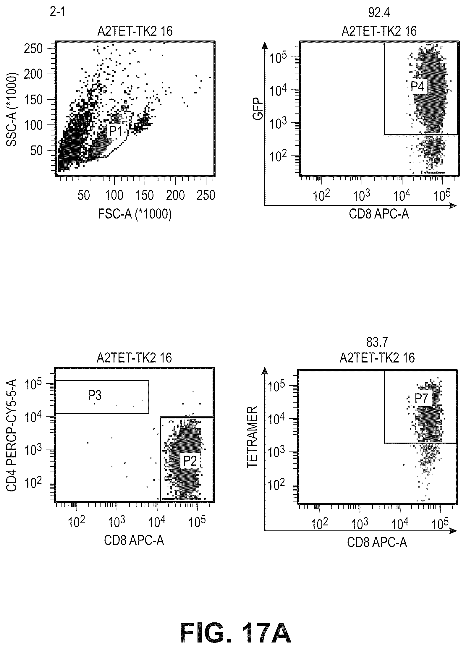 Patent US12479901 Figure 17 – T-cell receptor