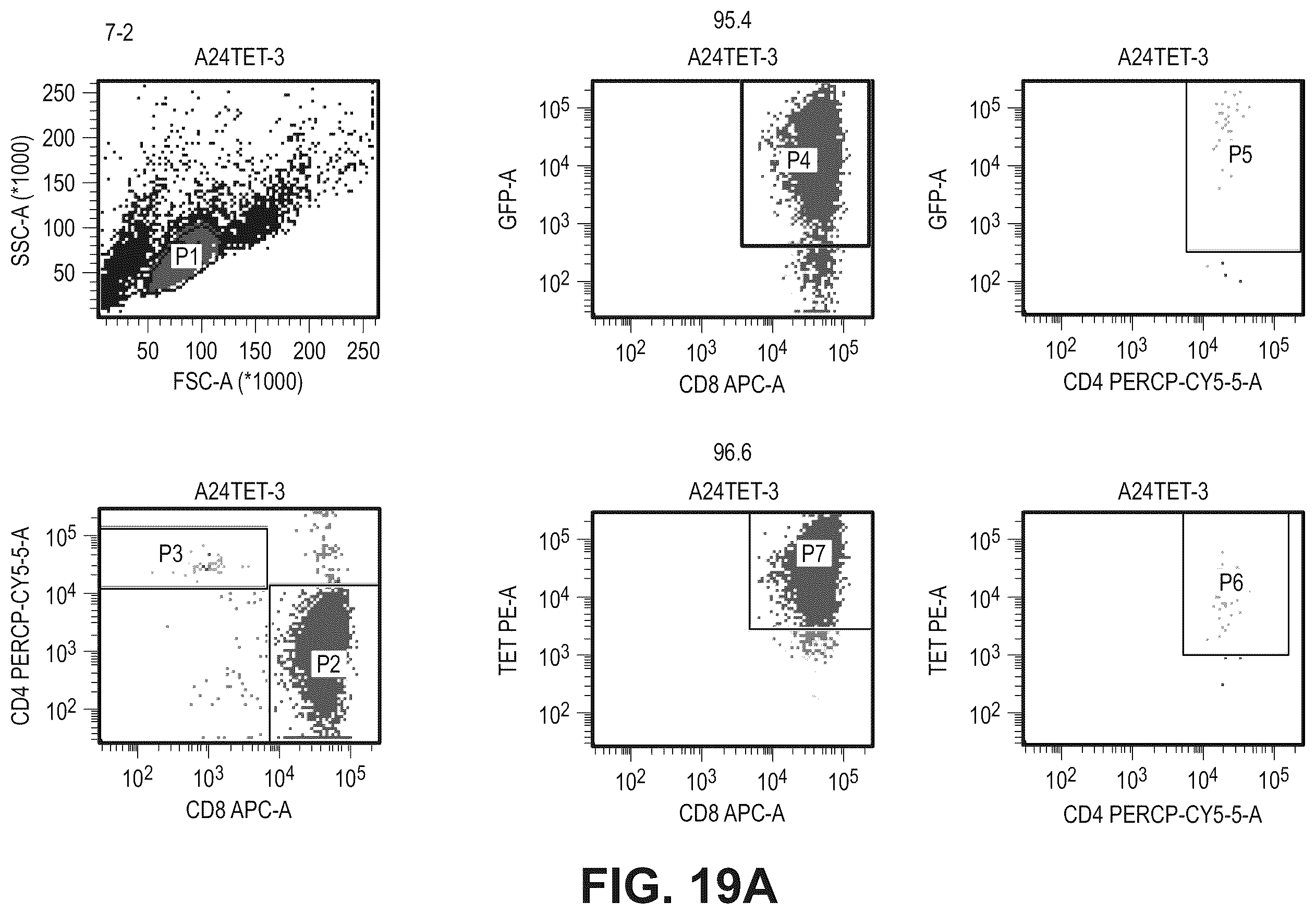 Patent US12479901 Figure 20 – T-cell receptor