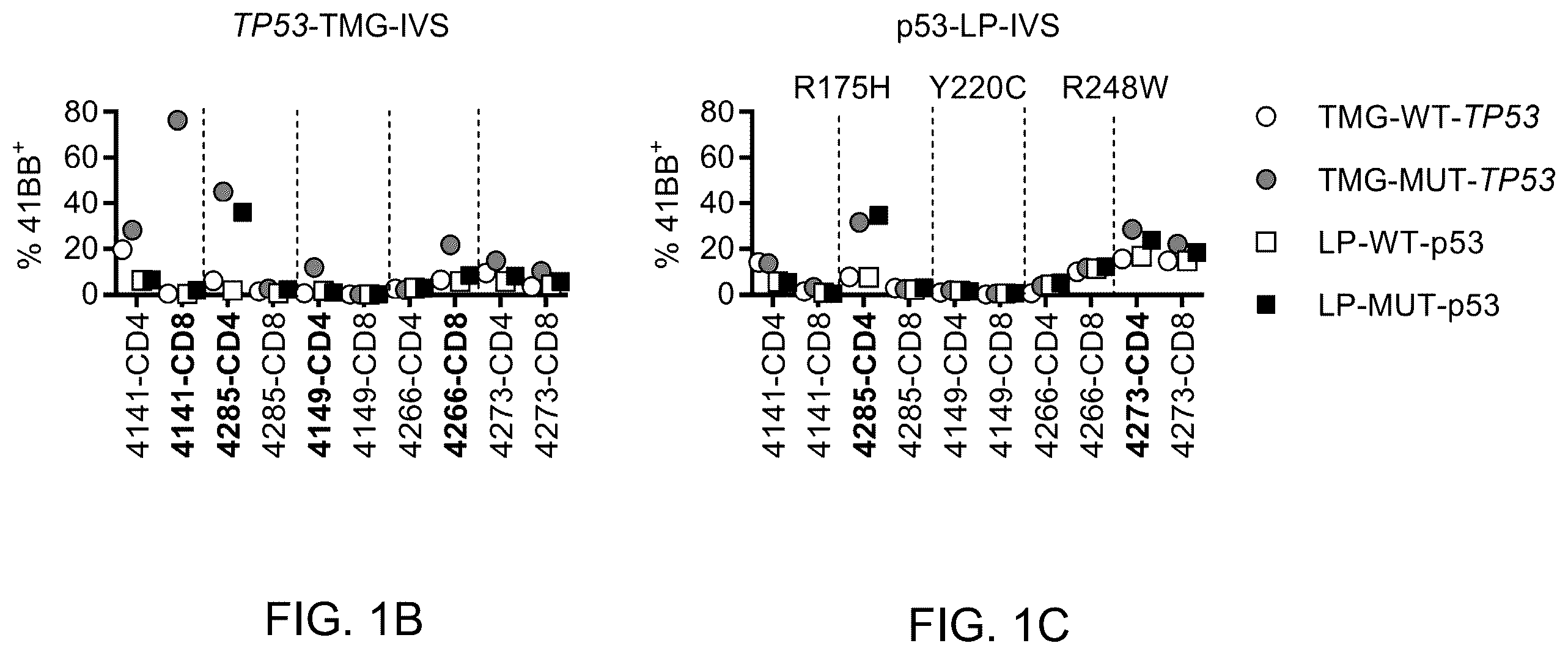 Patent US12479902 Figure 2 – T cell receptors recognizing R175H or Y220C mutation in P53