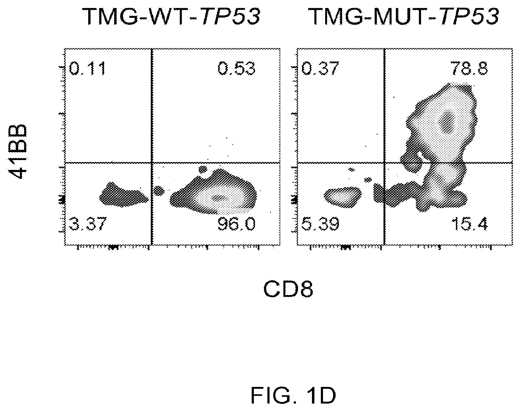 Patent US12479902 Figure 3 – T cell receptors recognizing R175H or Y220C mutation in P53