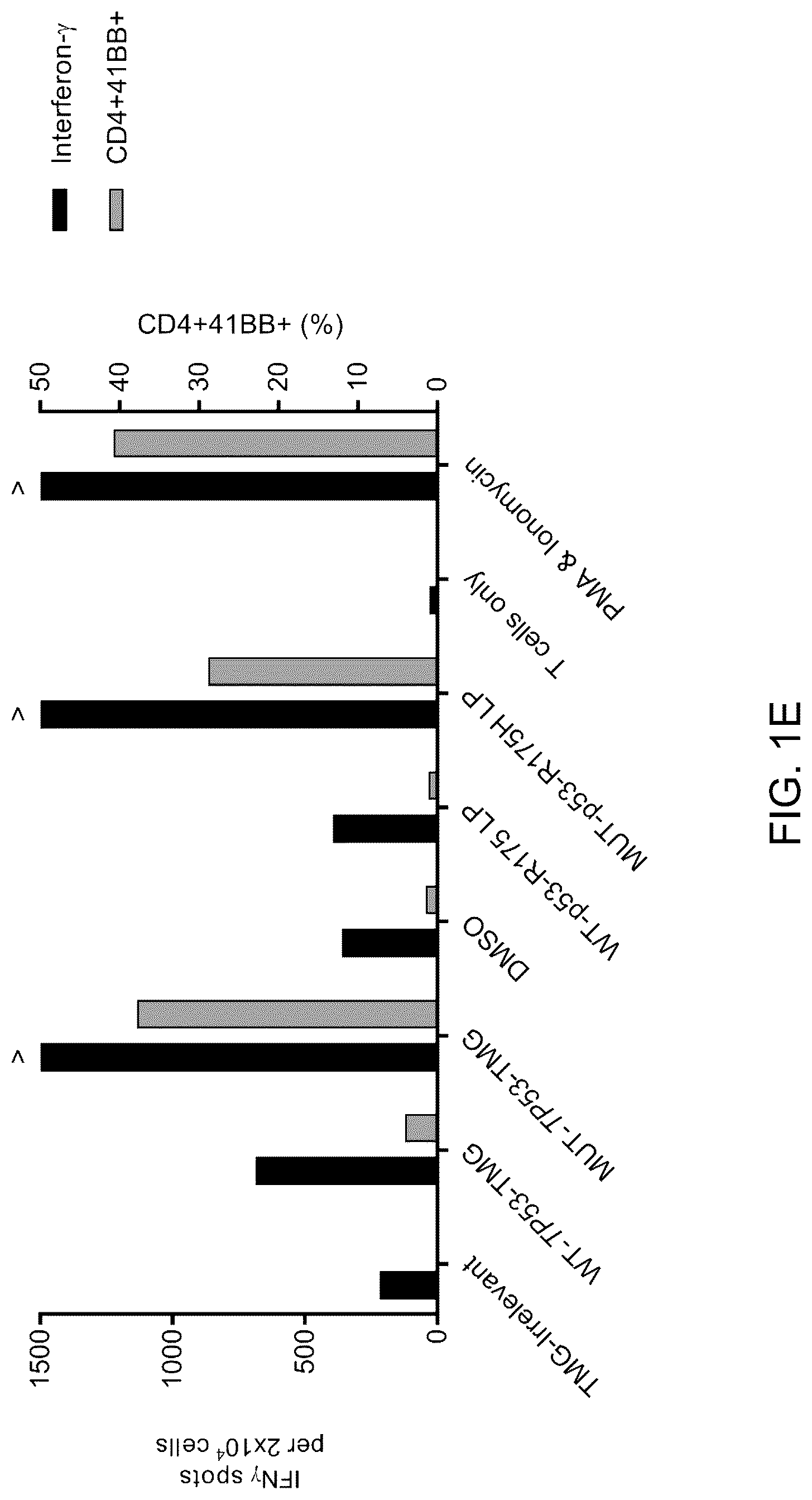 Patent US12479902 Figure 4 – T cell receptors recognizing R175H or Y220C mutation in P53