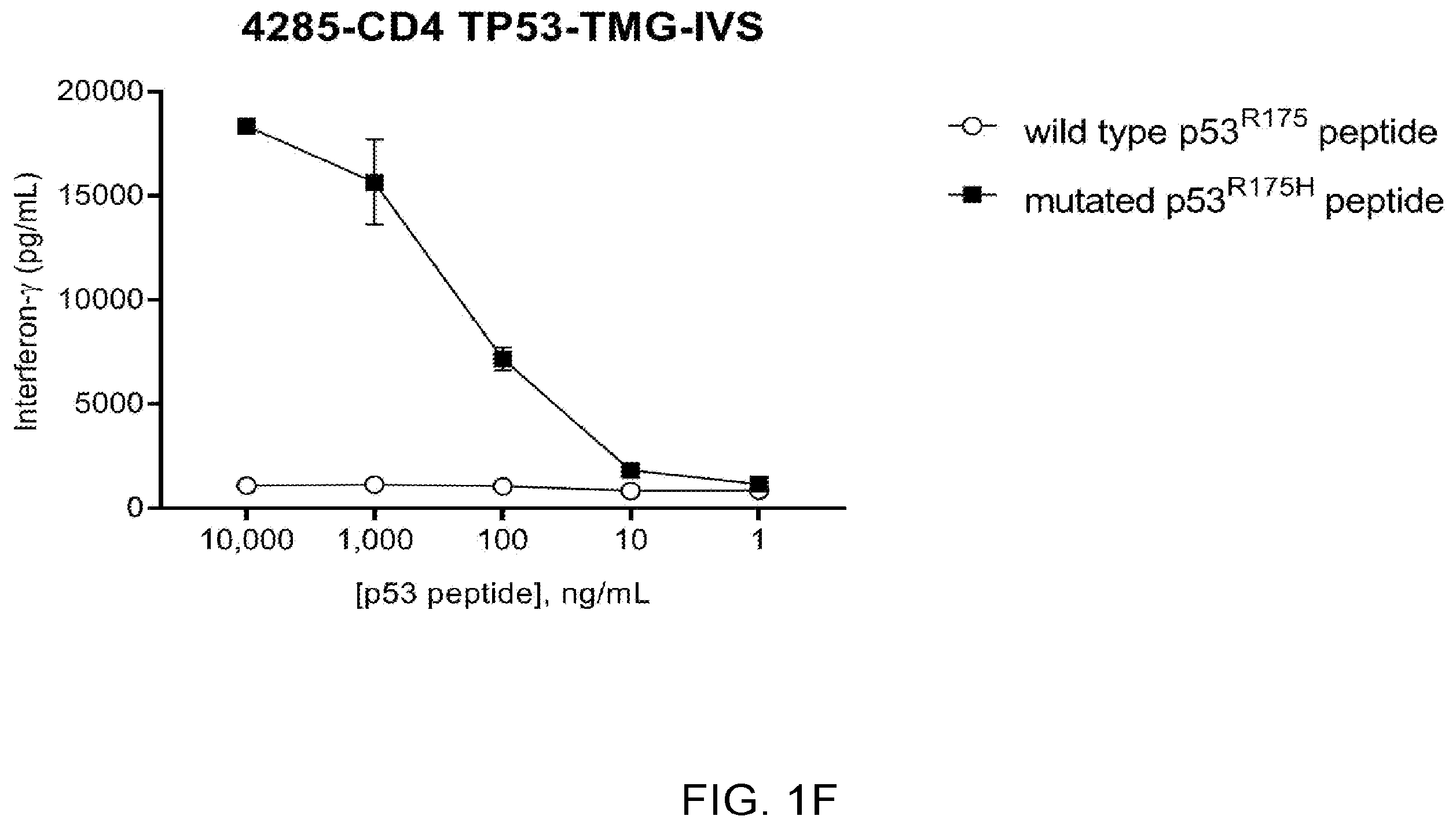 Patent US12479902 Figure 5 – T cell receptors recognizing R175H or Y220C mutation in P53