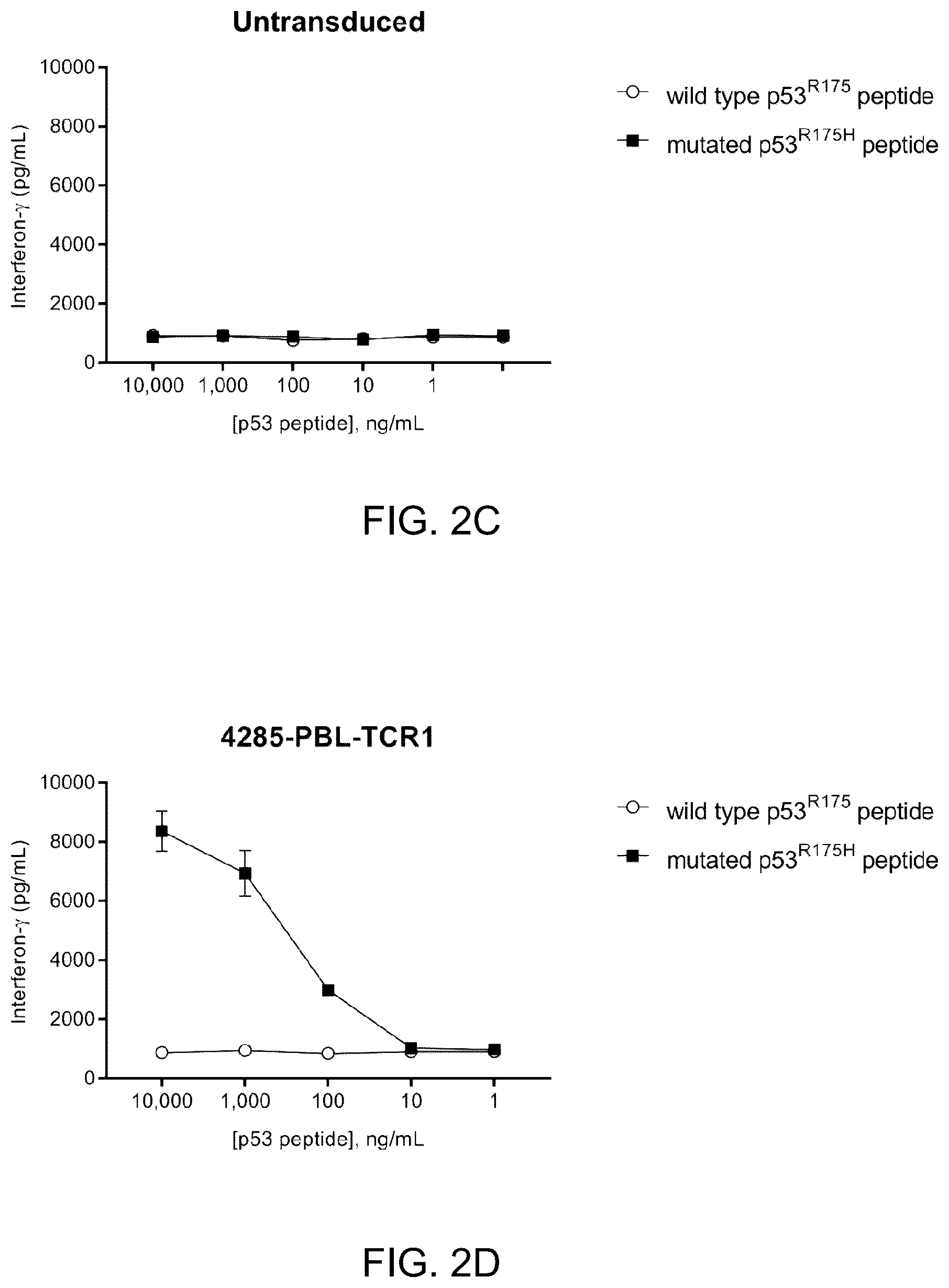 Patent US12479902 Figure 7 – T cell receptors recognizing R175H or Y220C mutation in P53