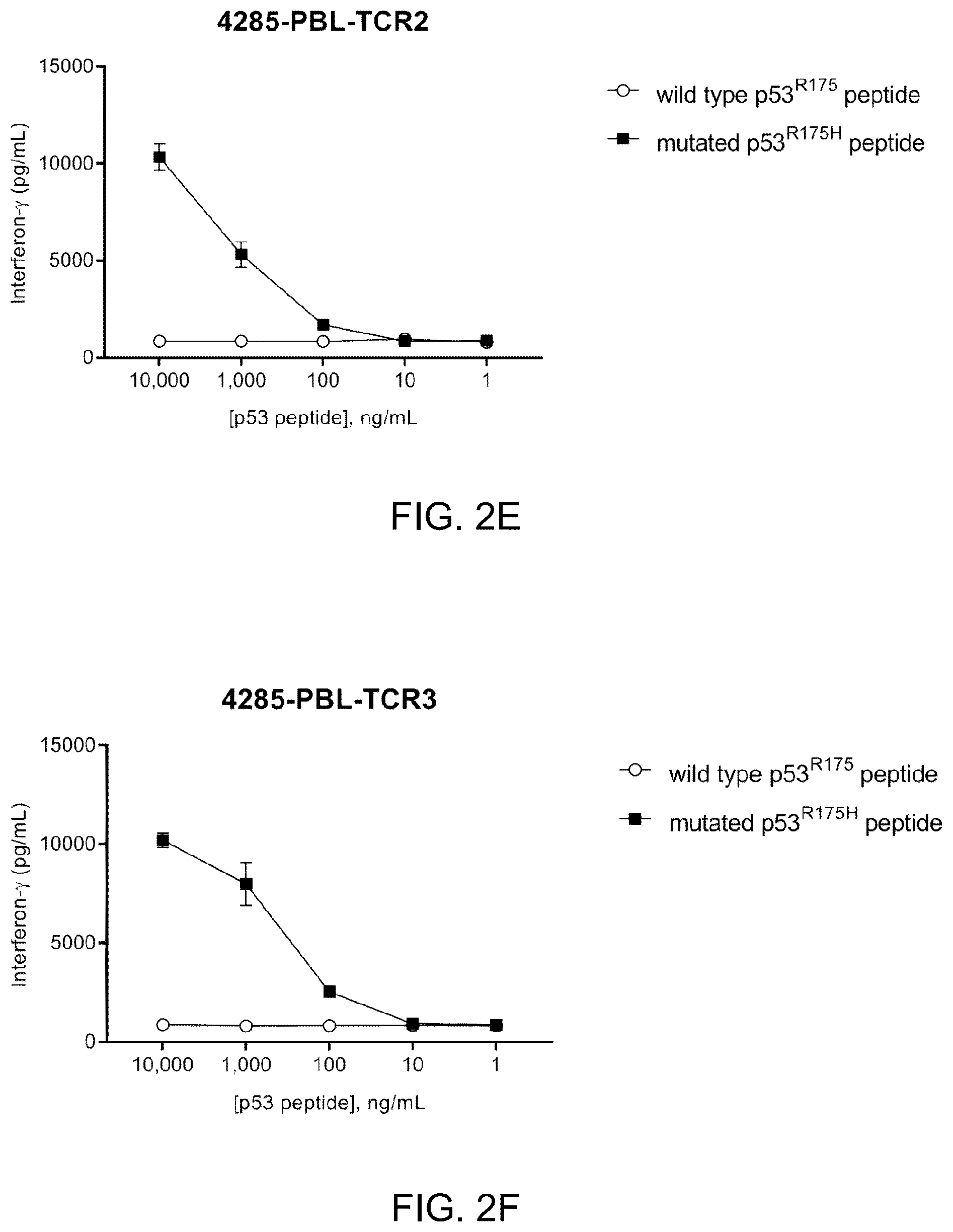 Patent US12479902 Figure 8 – T cell receptors recognizing R175H or Y220C mutation in P53